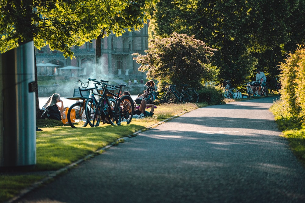 Bicicletas estacionadas al costado de una carretera junto a árboles