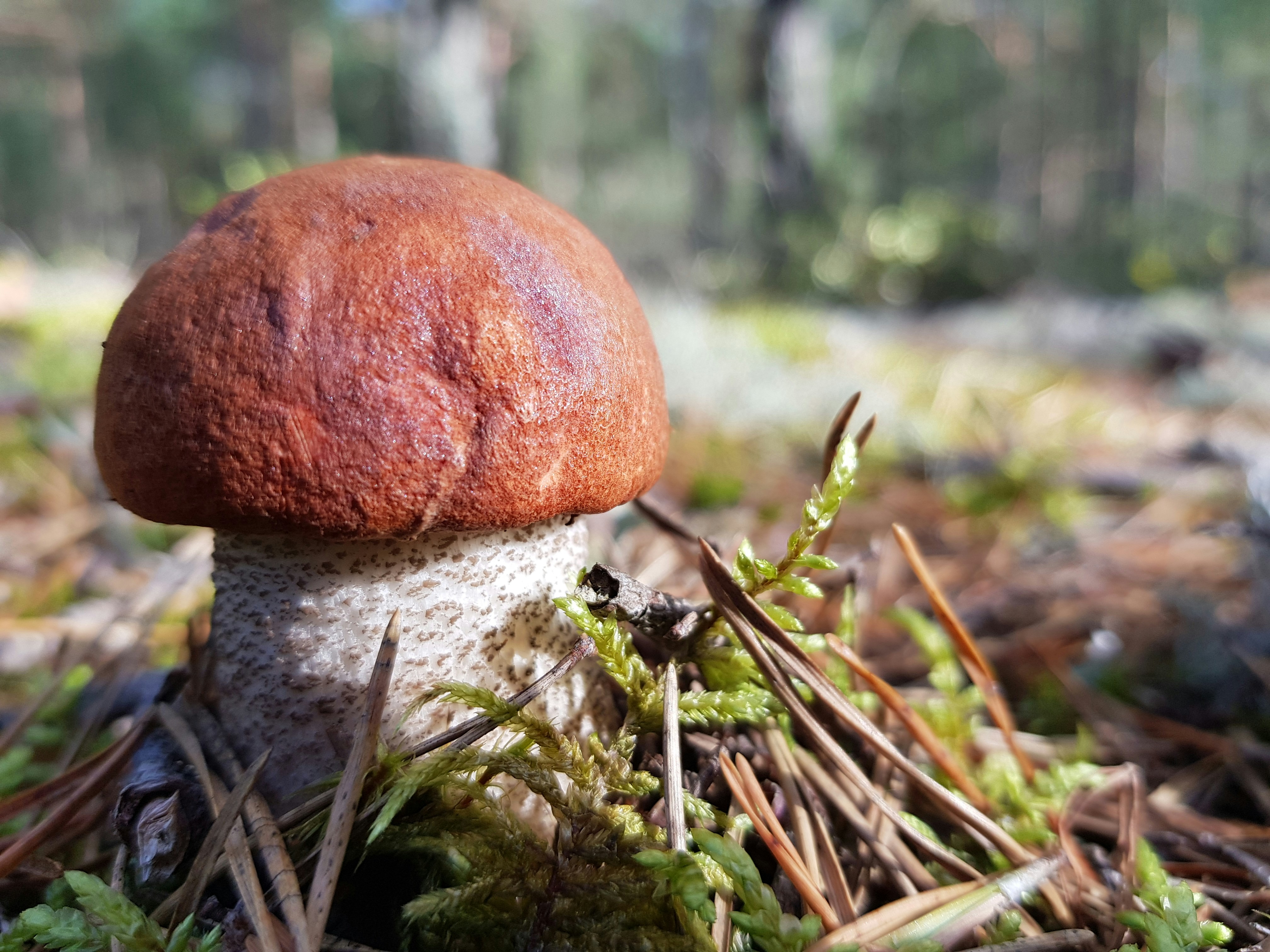 Photo by ieva_berzina