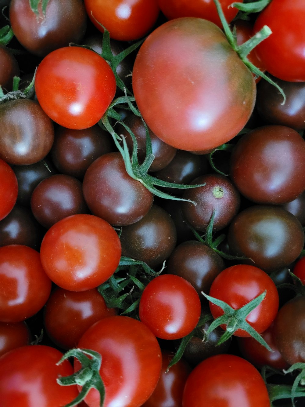 a close up of a bunch of tomatoes