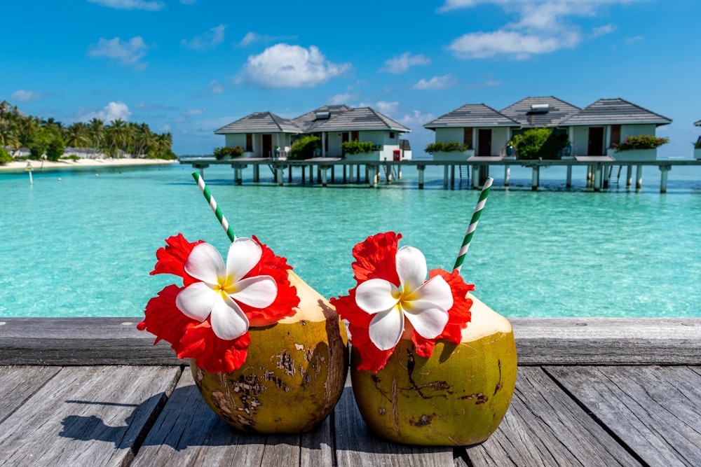 a couple of coconuts sitting on top of a wooden table