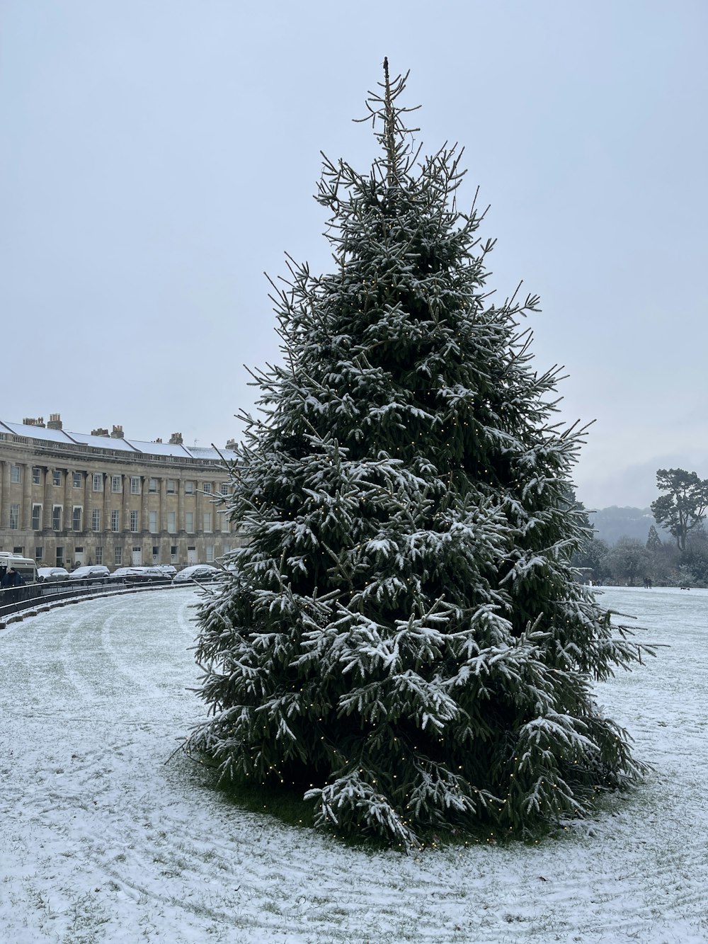 a snow covered tree in front of a building