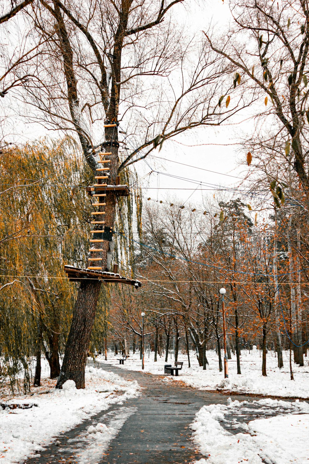 a tree house in the middle of a snowy park