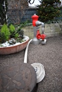 A red and silver fire hydrant with attached hose is situated on a gravel path next to a landscaped area with green plants and bushes. There is a low stone wall behind the hydrant, and evergreen trees with small lights are visible. A coiled fire hose is partially visible near a manhole cover in the foreground.