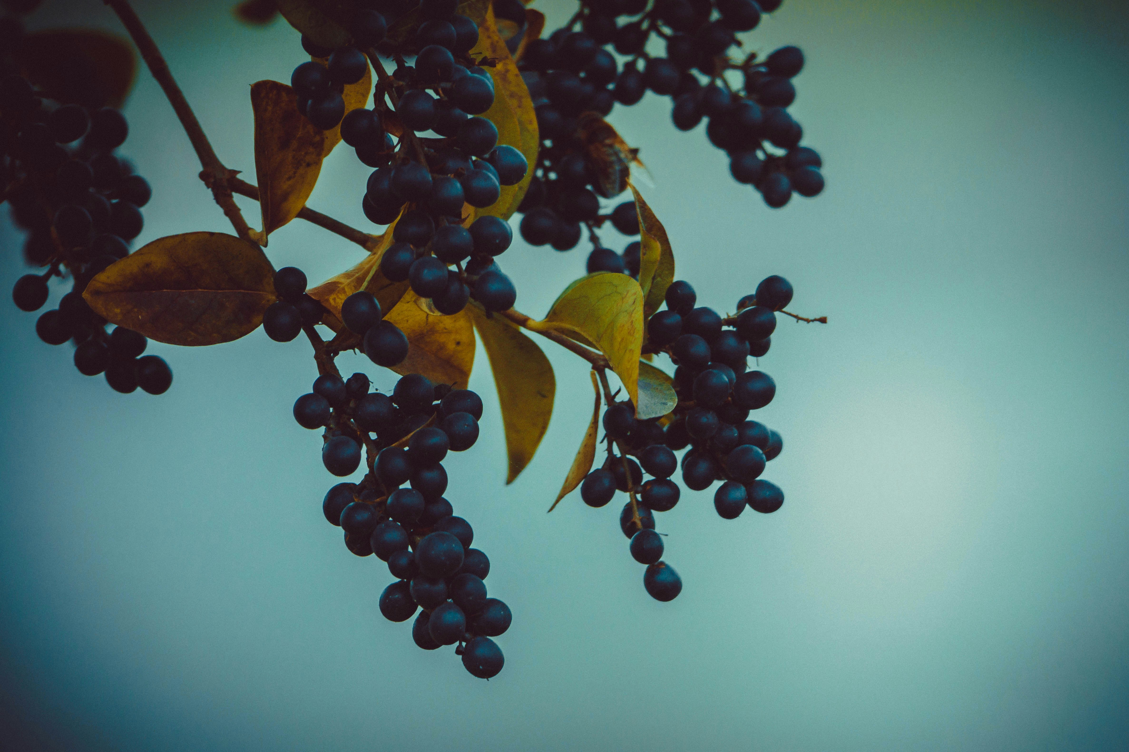 Afbeelding van Eindhoven