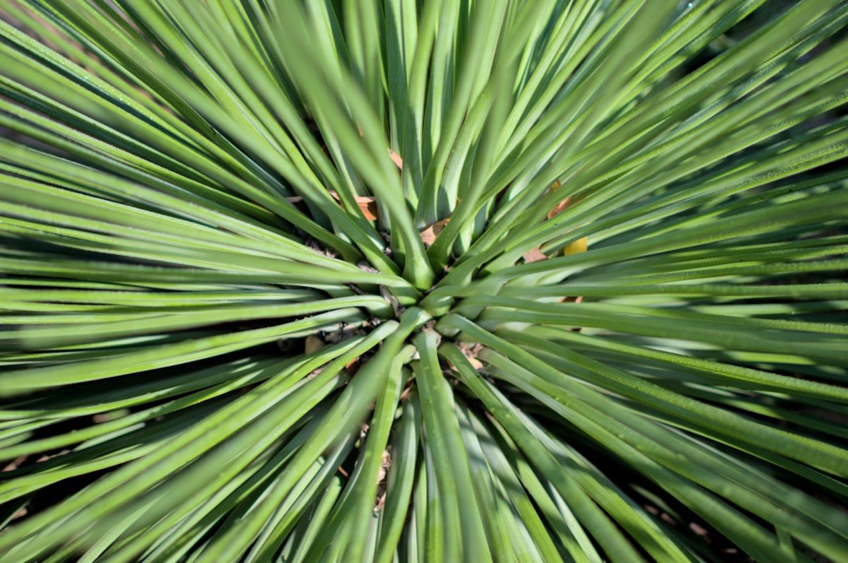fintech related image for: Pine Labs Targets $700M IPO in October