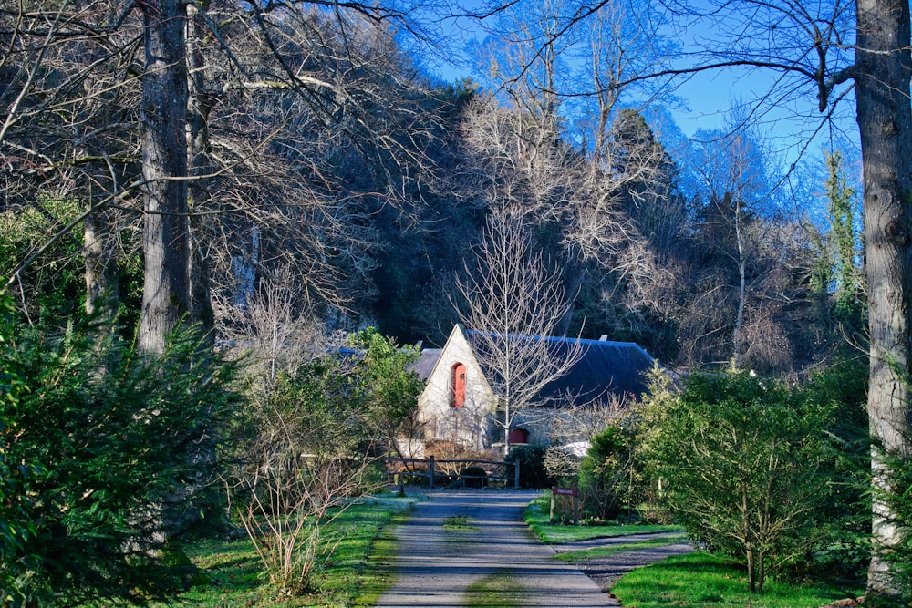 a house in the middle of a wooded area