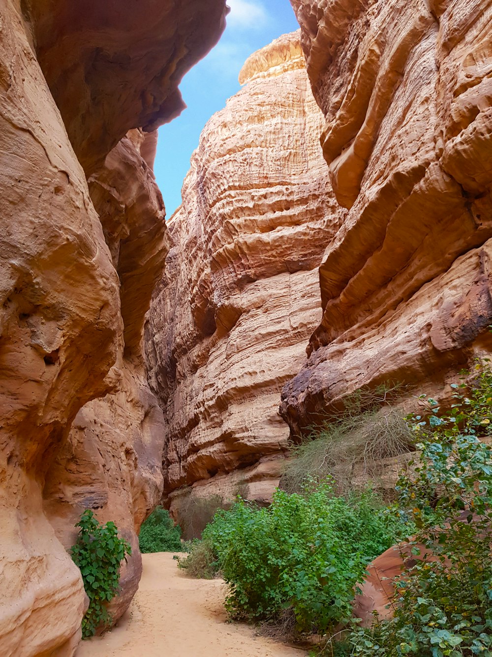 a narrow canyon with a narrow path in the middle of it