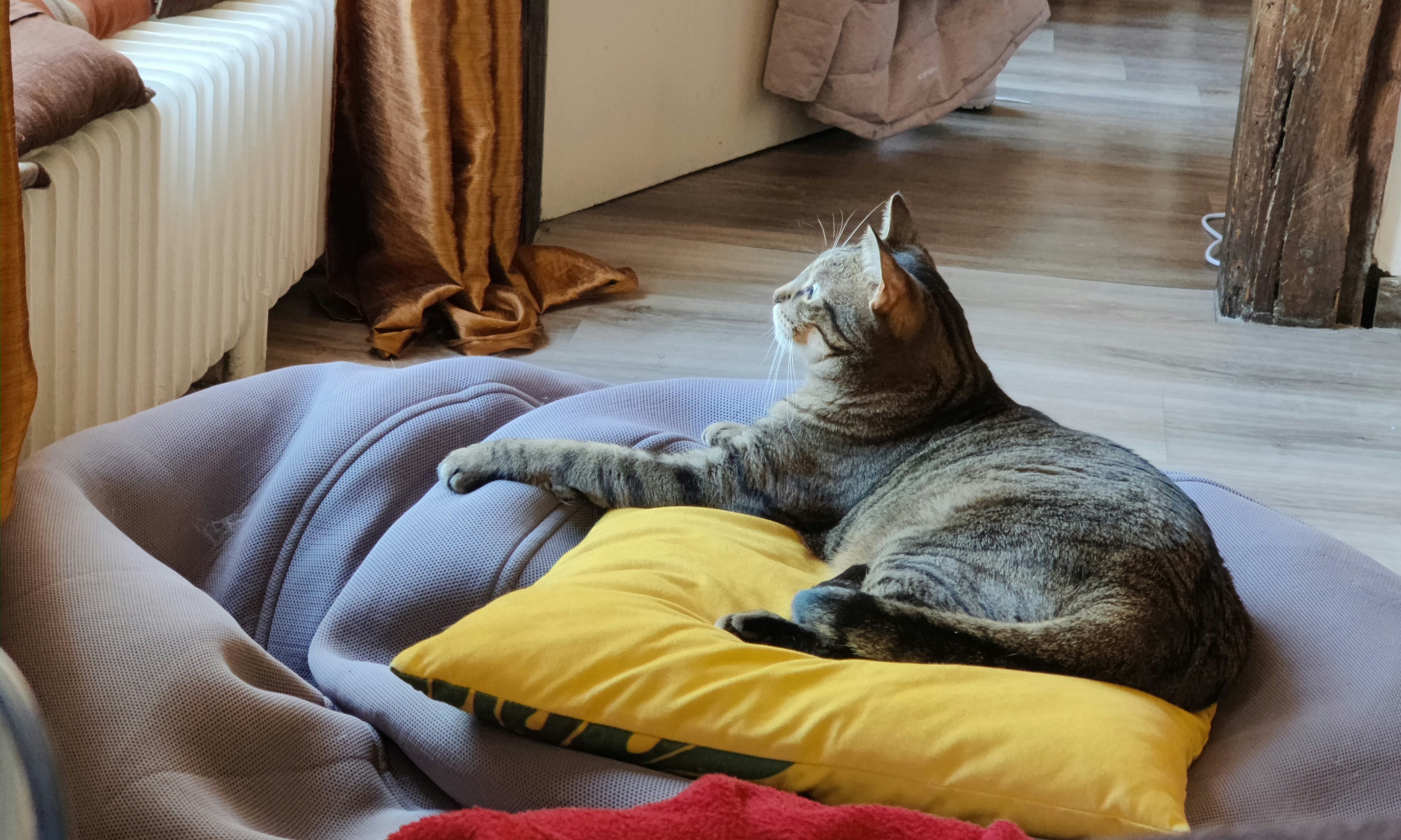 Creating a Safe Space (image credits: unsplash)