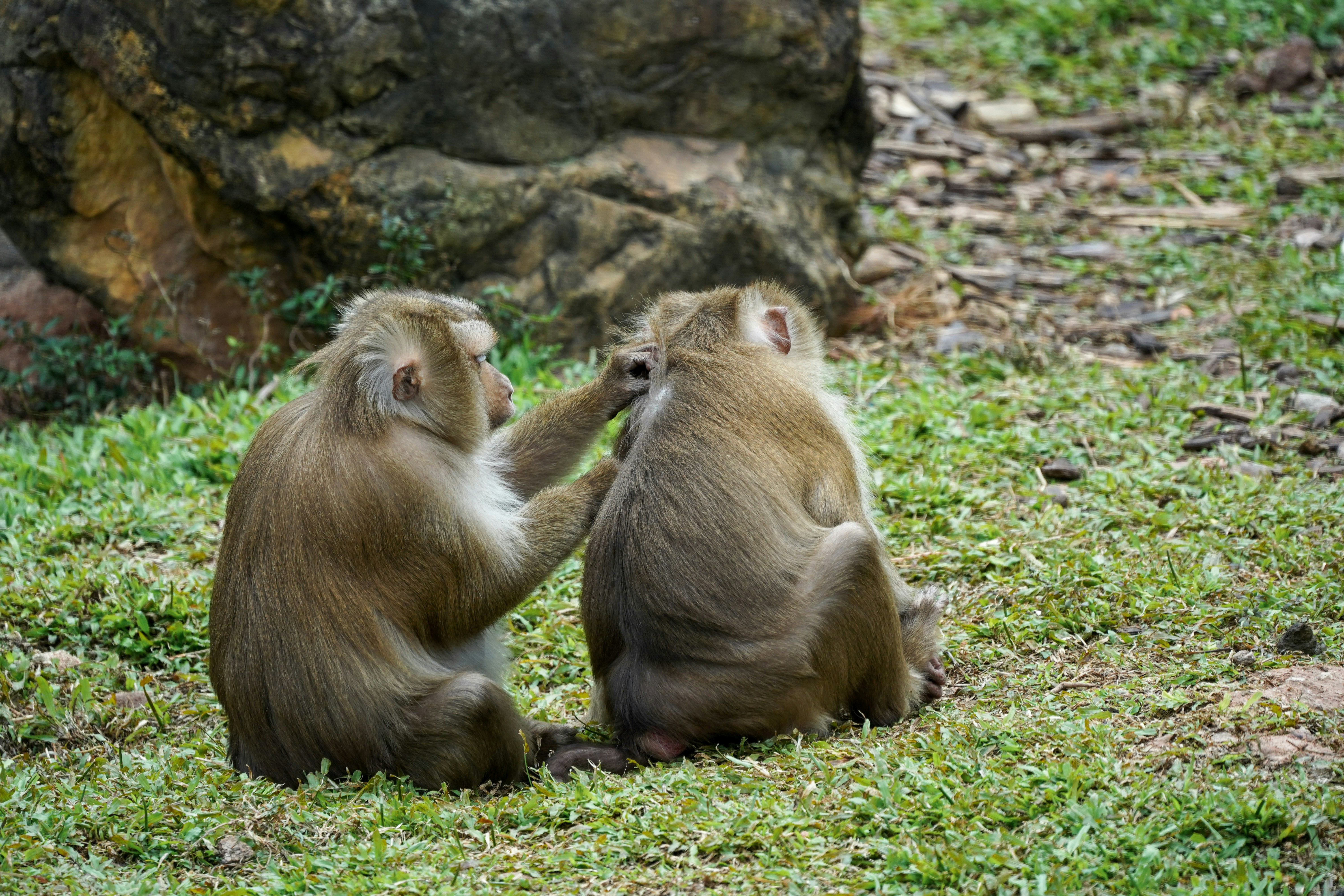 Relationship Tips for Men