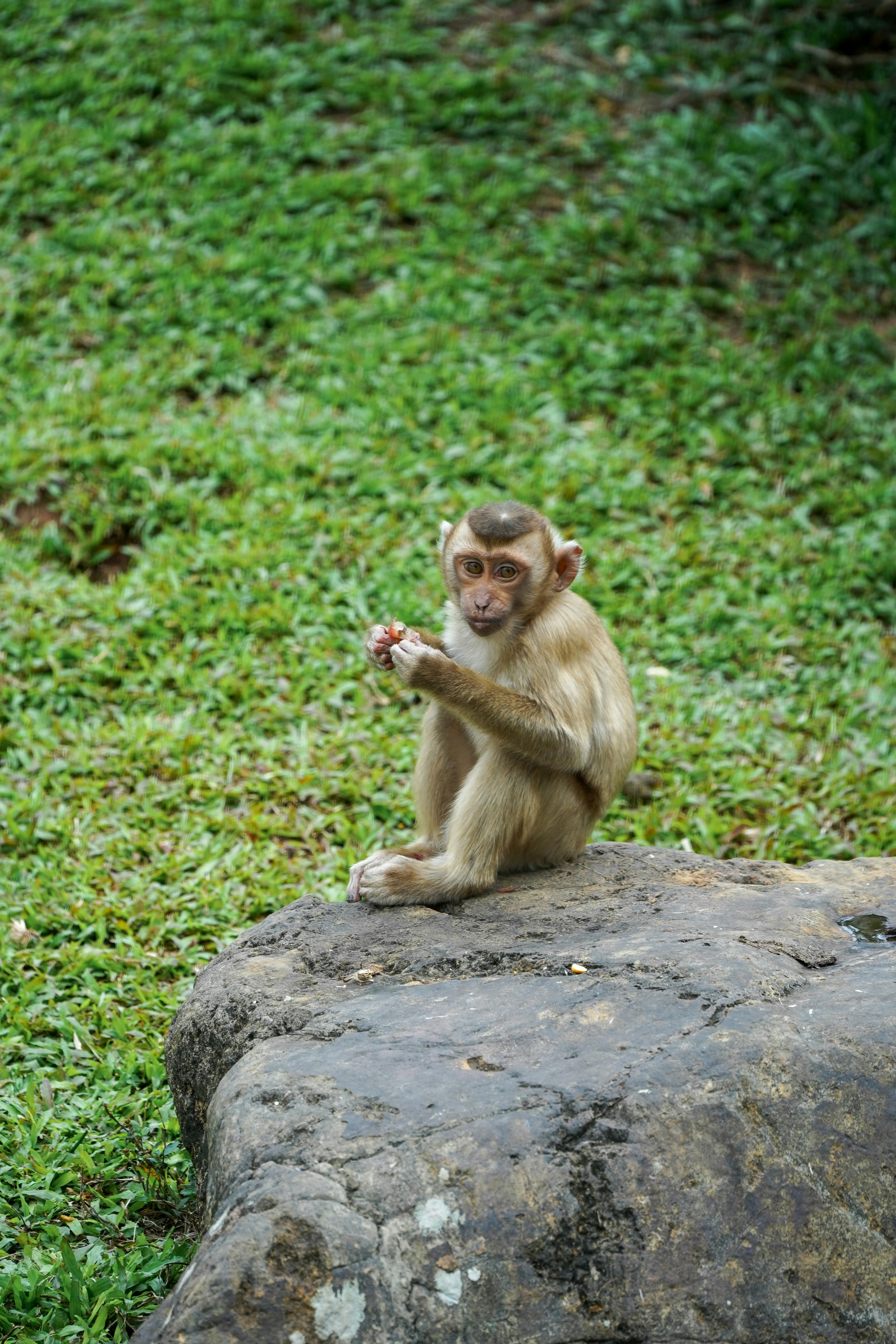 Photo by msz010dzeta