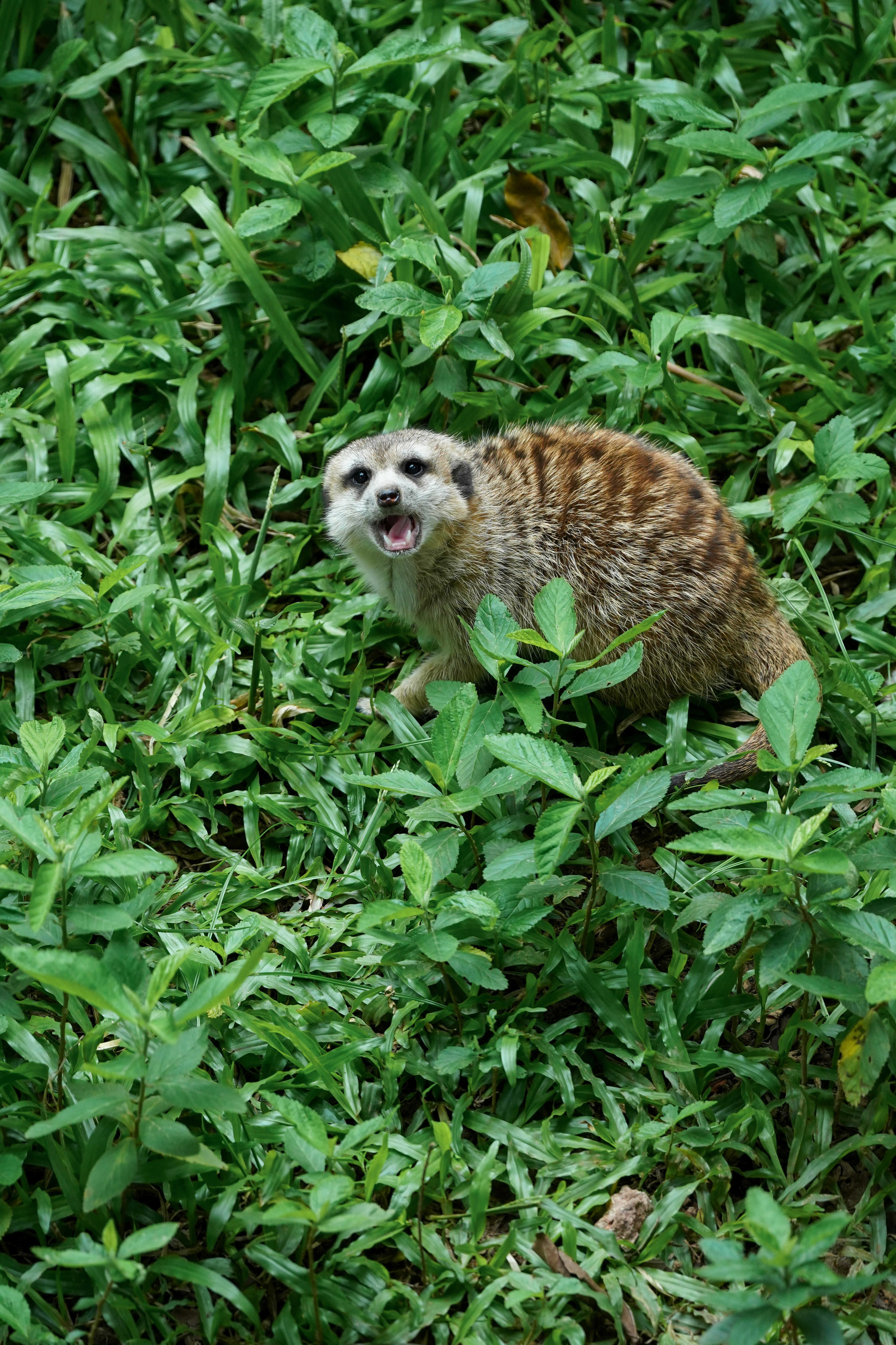 Myths and Misconceptions (image credits: unsplash)