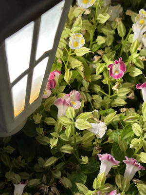 Outdoor lantern glowing softly in a cozy garden setting at dusk