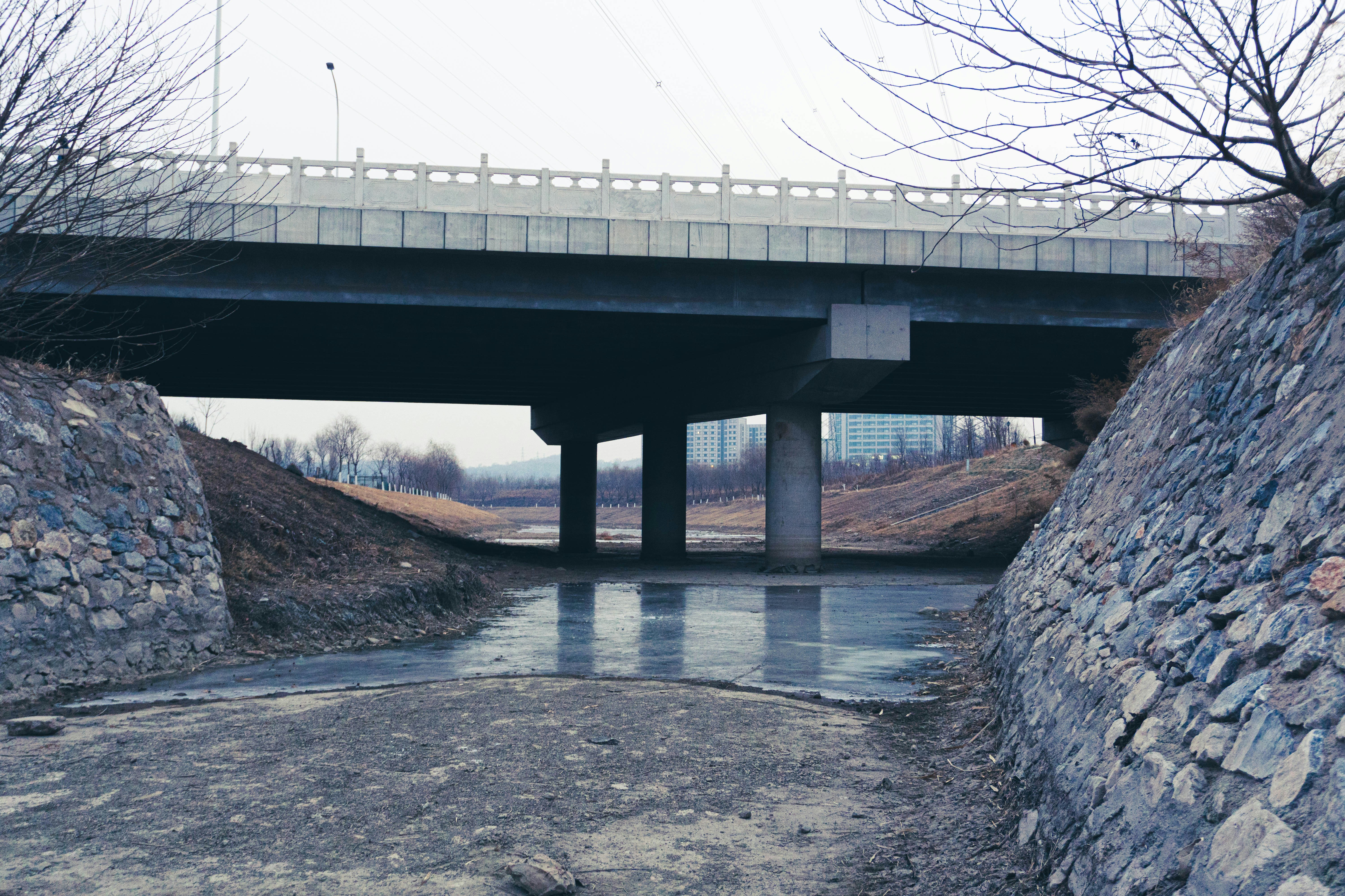 Photo by zedthegretti