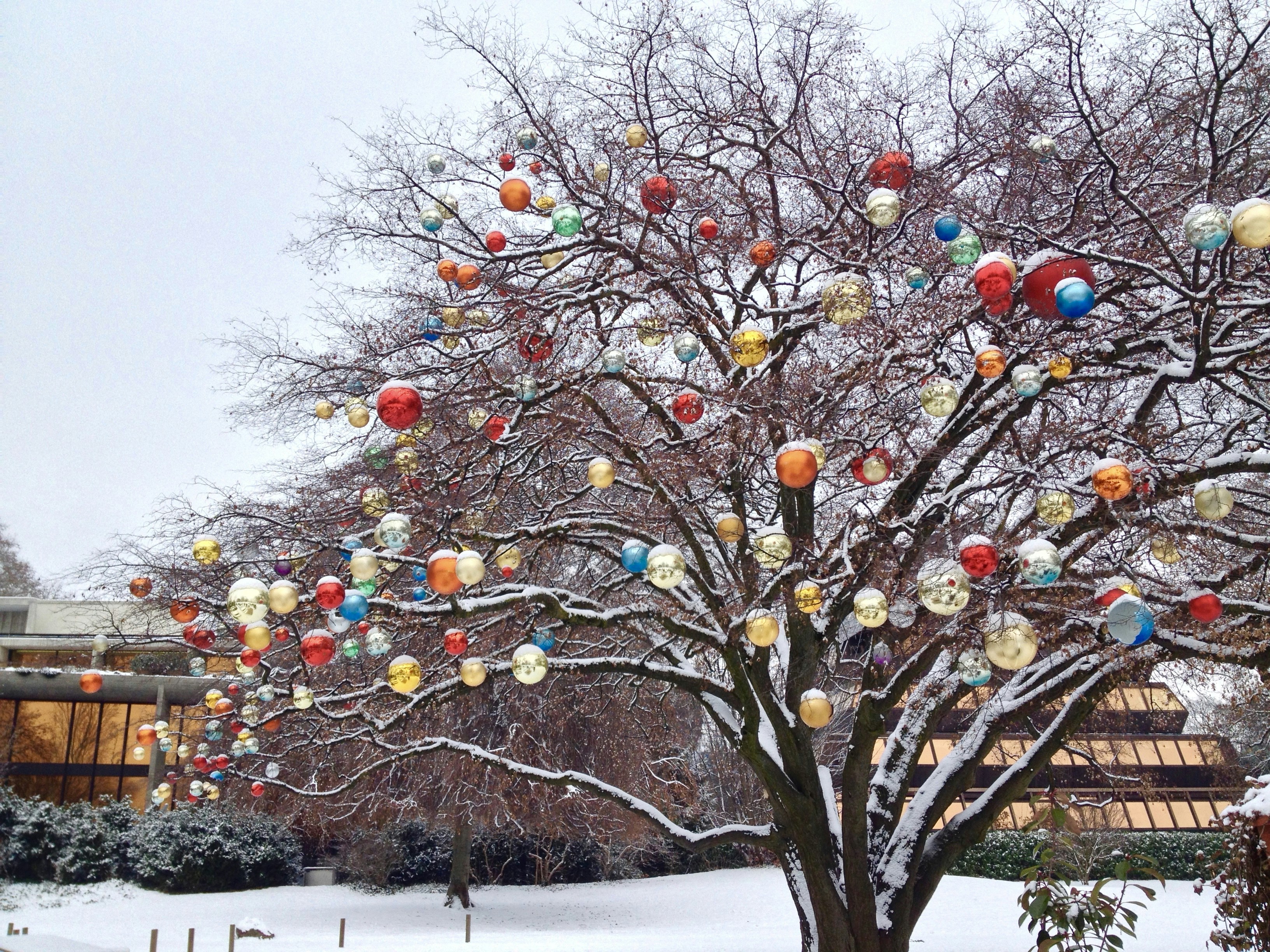 a large tree covered in lots of balloons