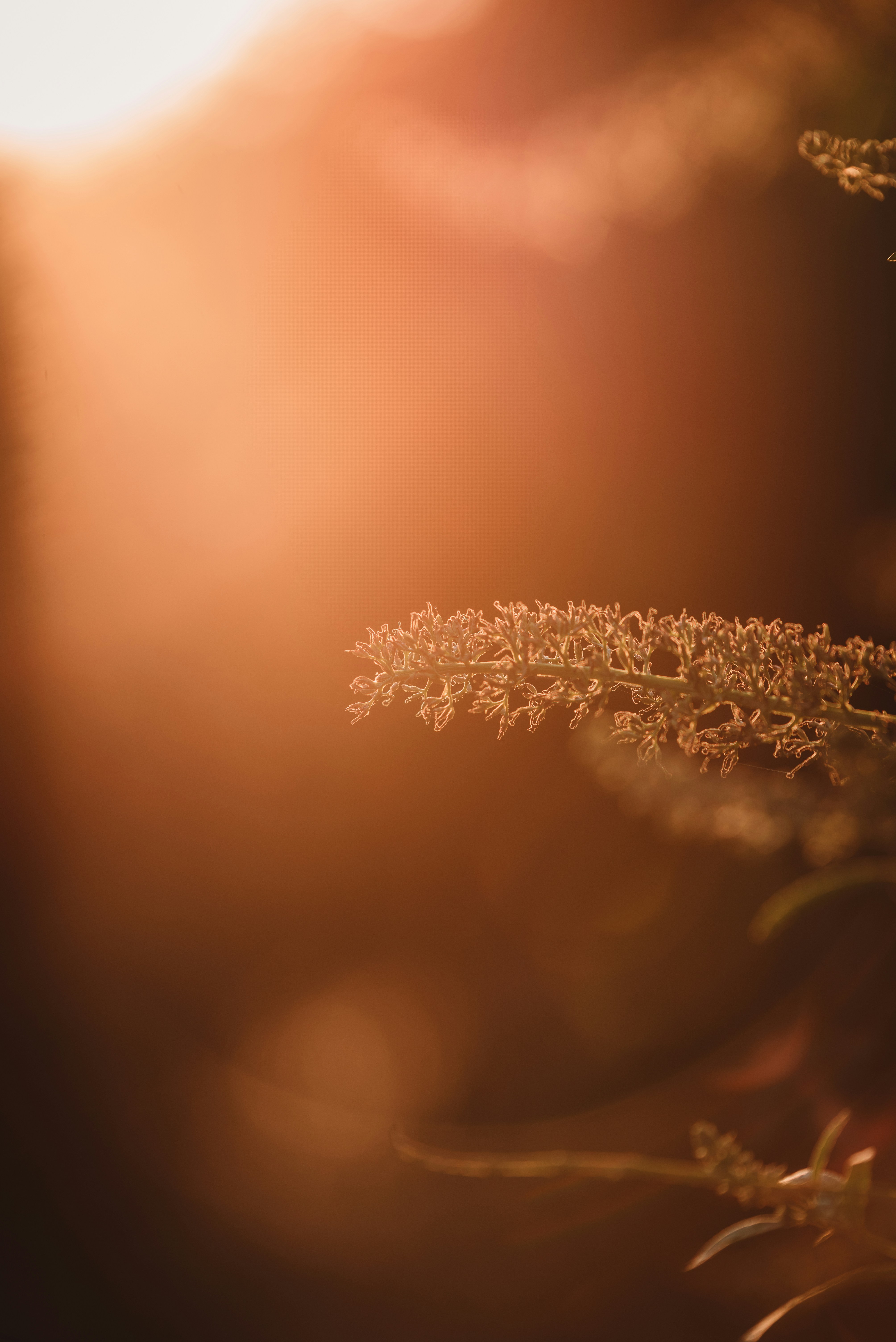 Photo by mearigraphy