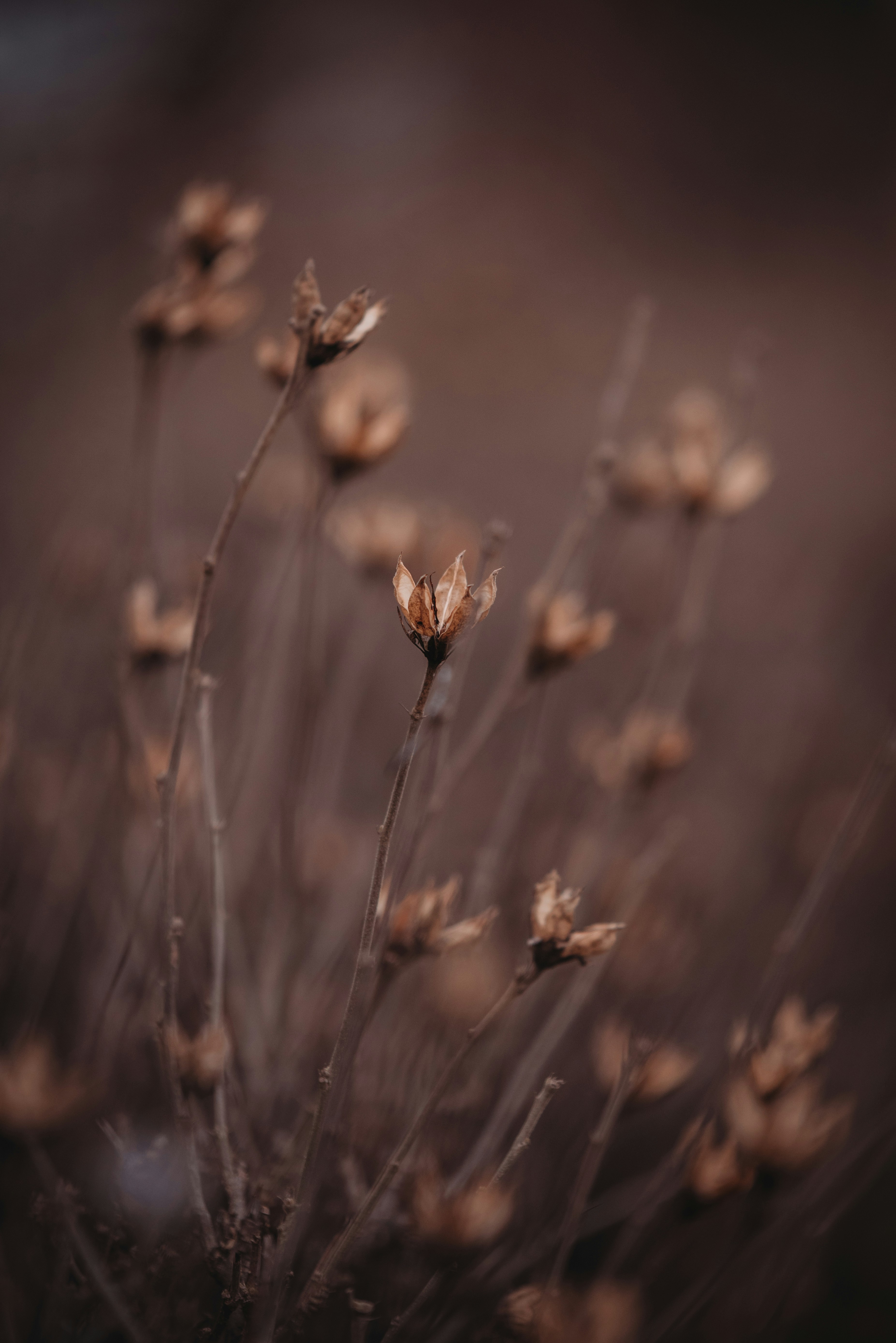 Photo by mearigraphy