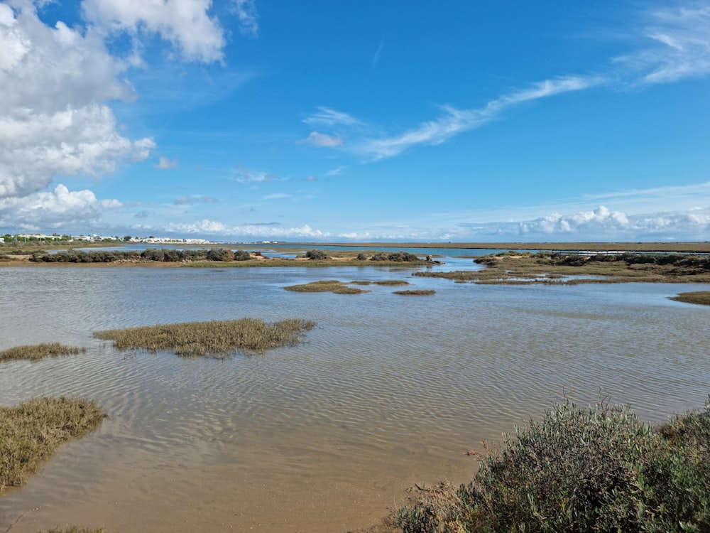 a large body of water surrounded by land