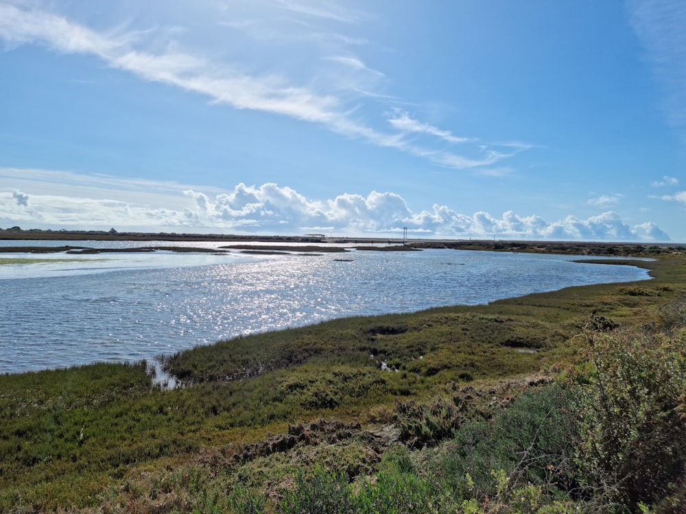 a large body of water surrounded by a lush green field