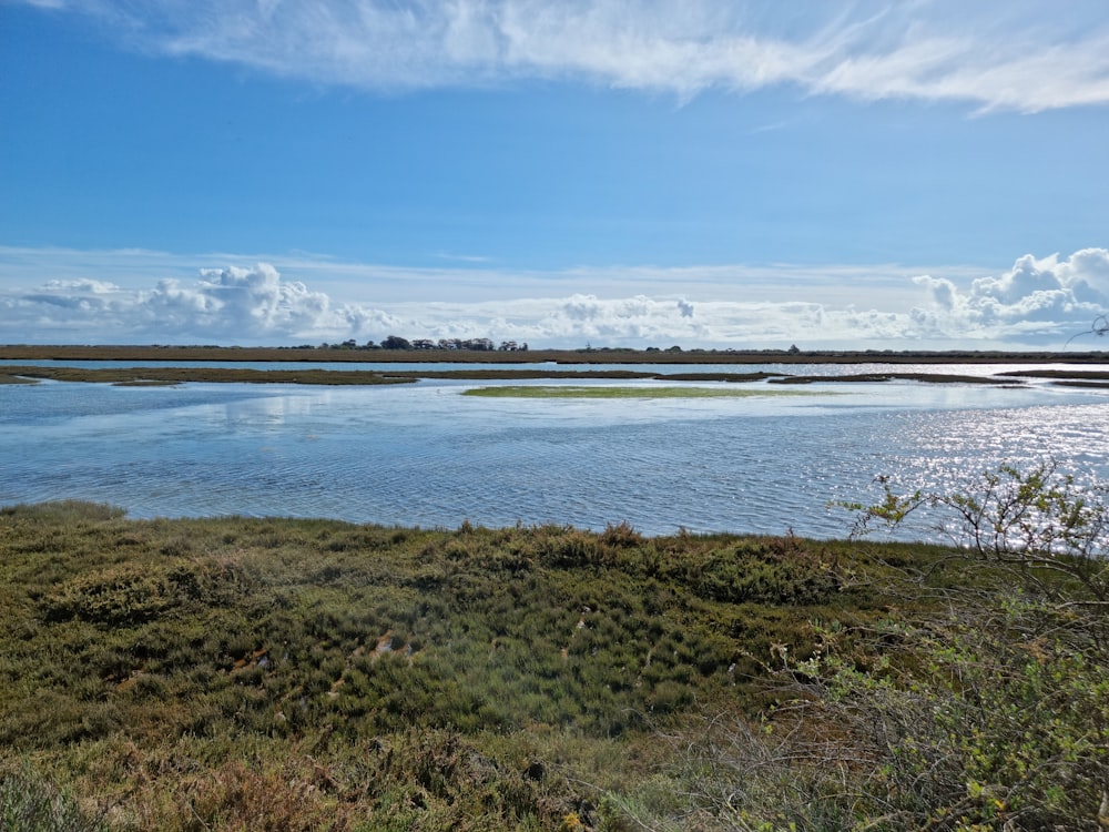 a large body of water surrounded by a lush green field