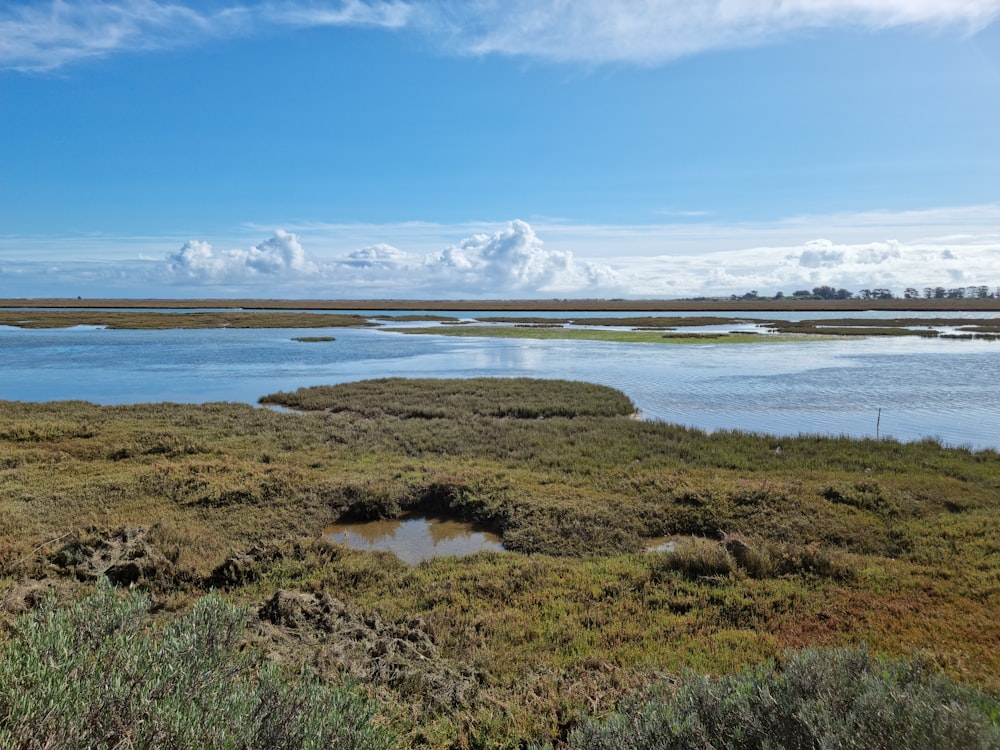 a large body of water surrounded by grass