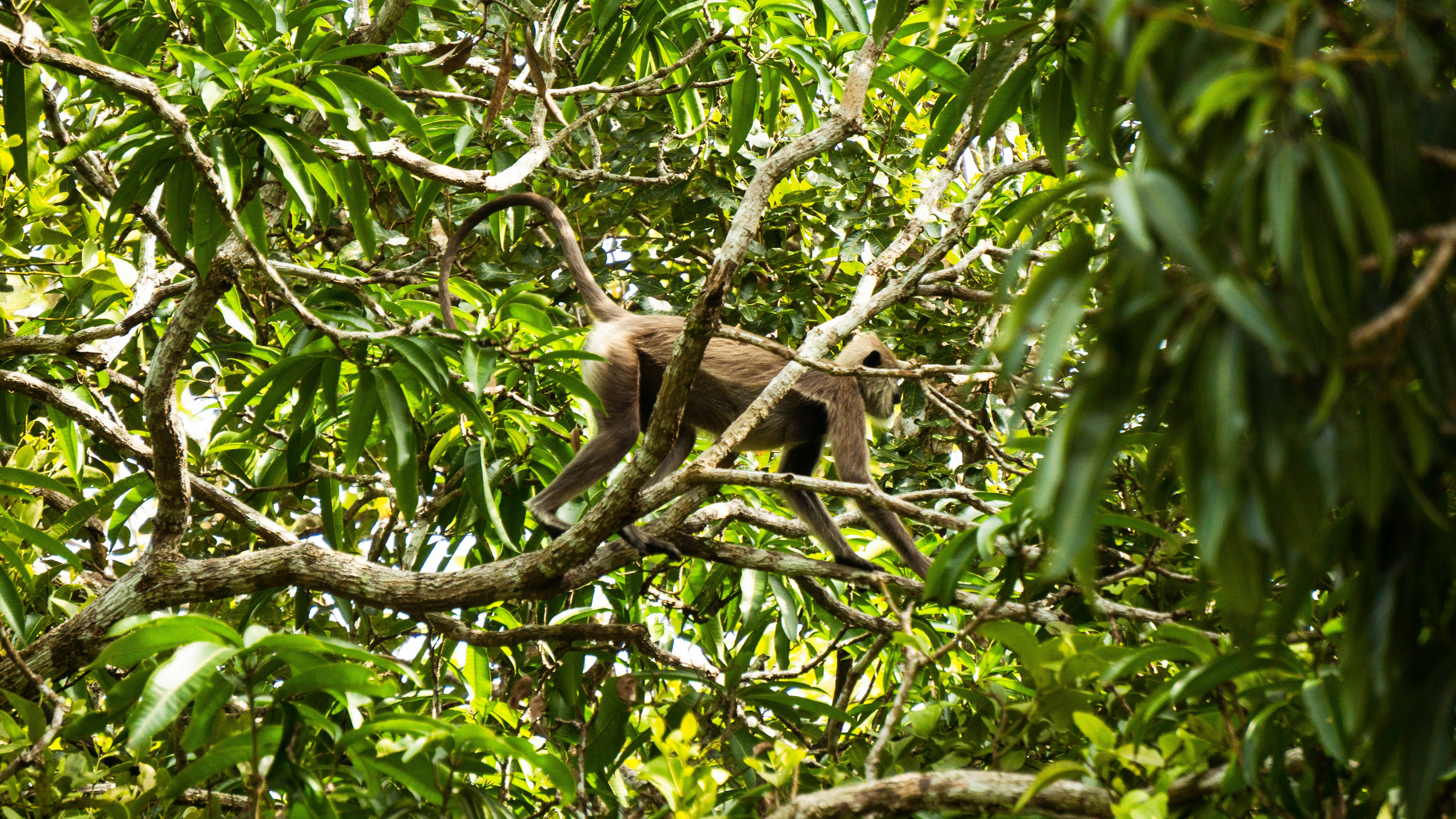 Photo by anainsomnia