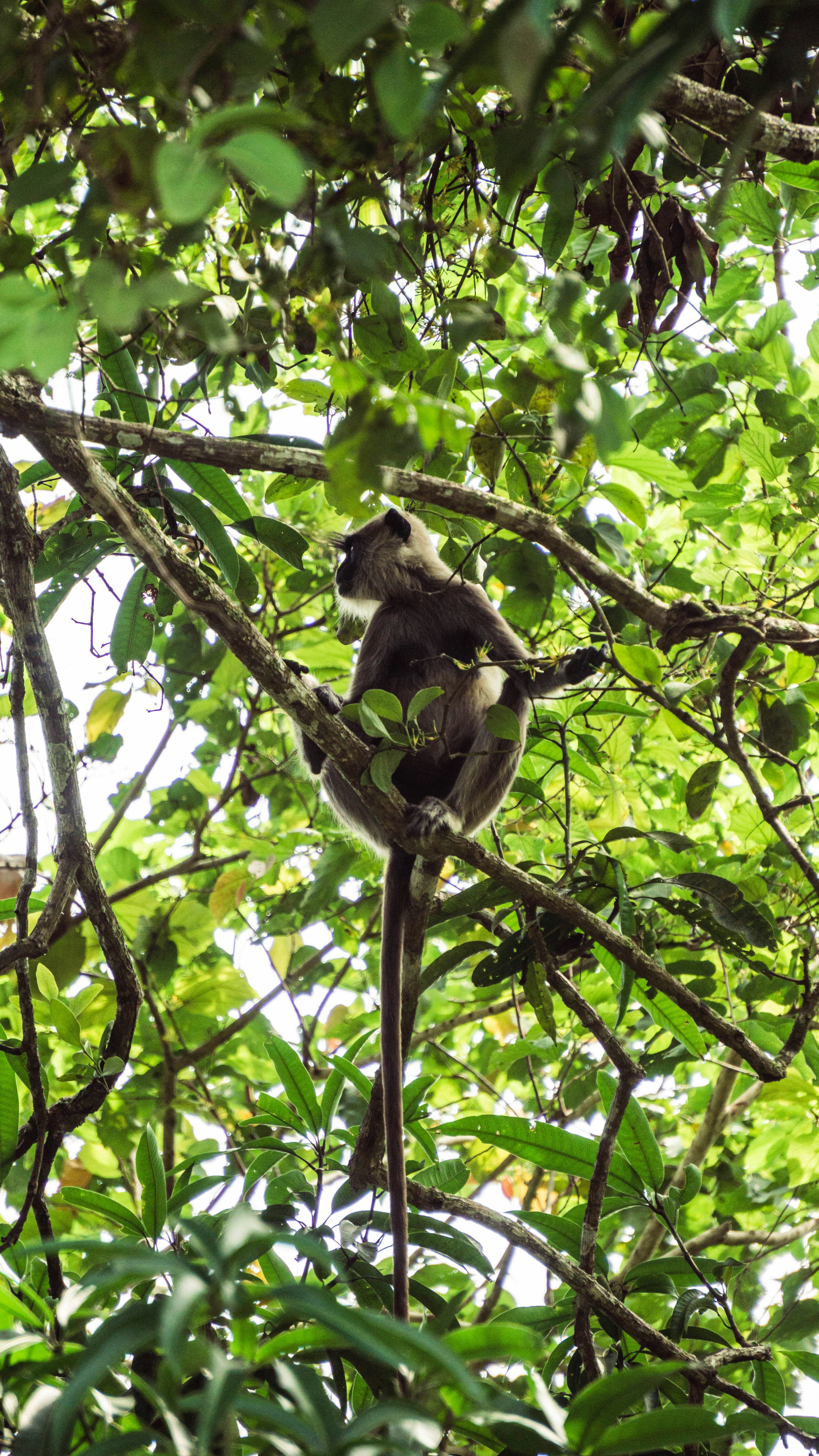 Photo by anainsomnia