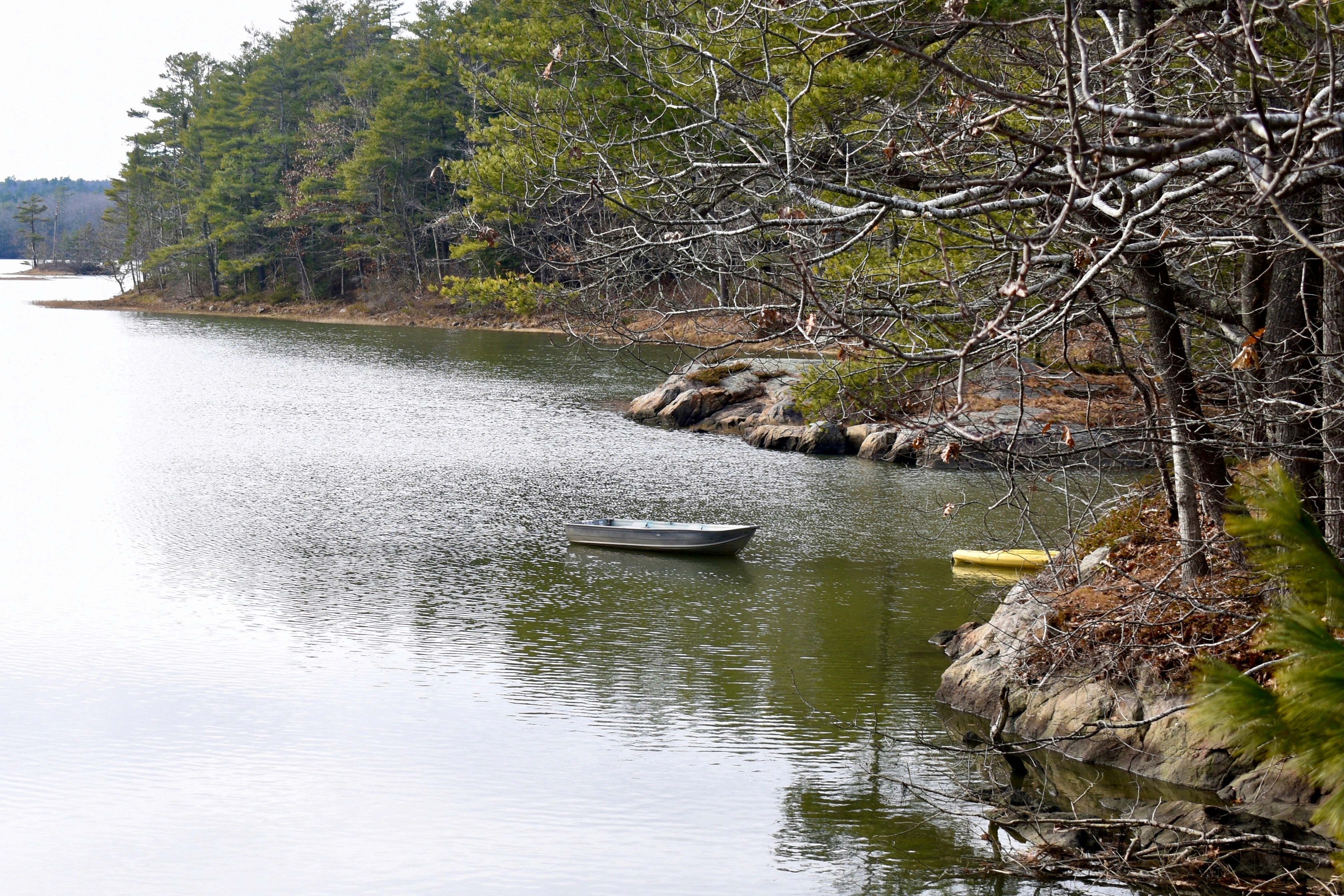 Photo by kellybrookme