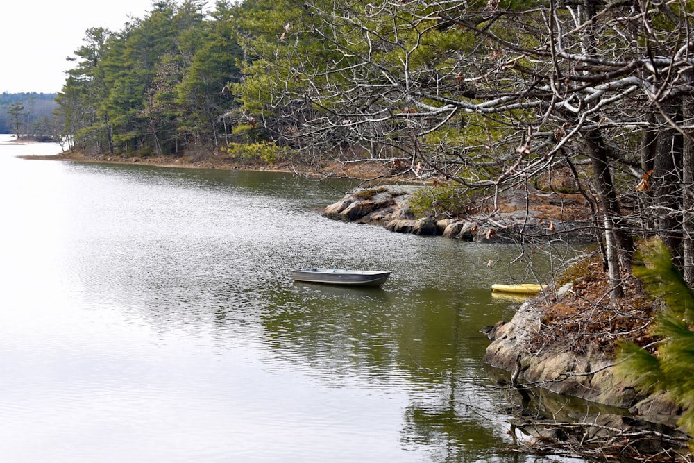 森の隣の湖の上に浮かぶボート