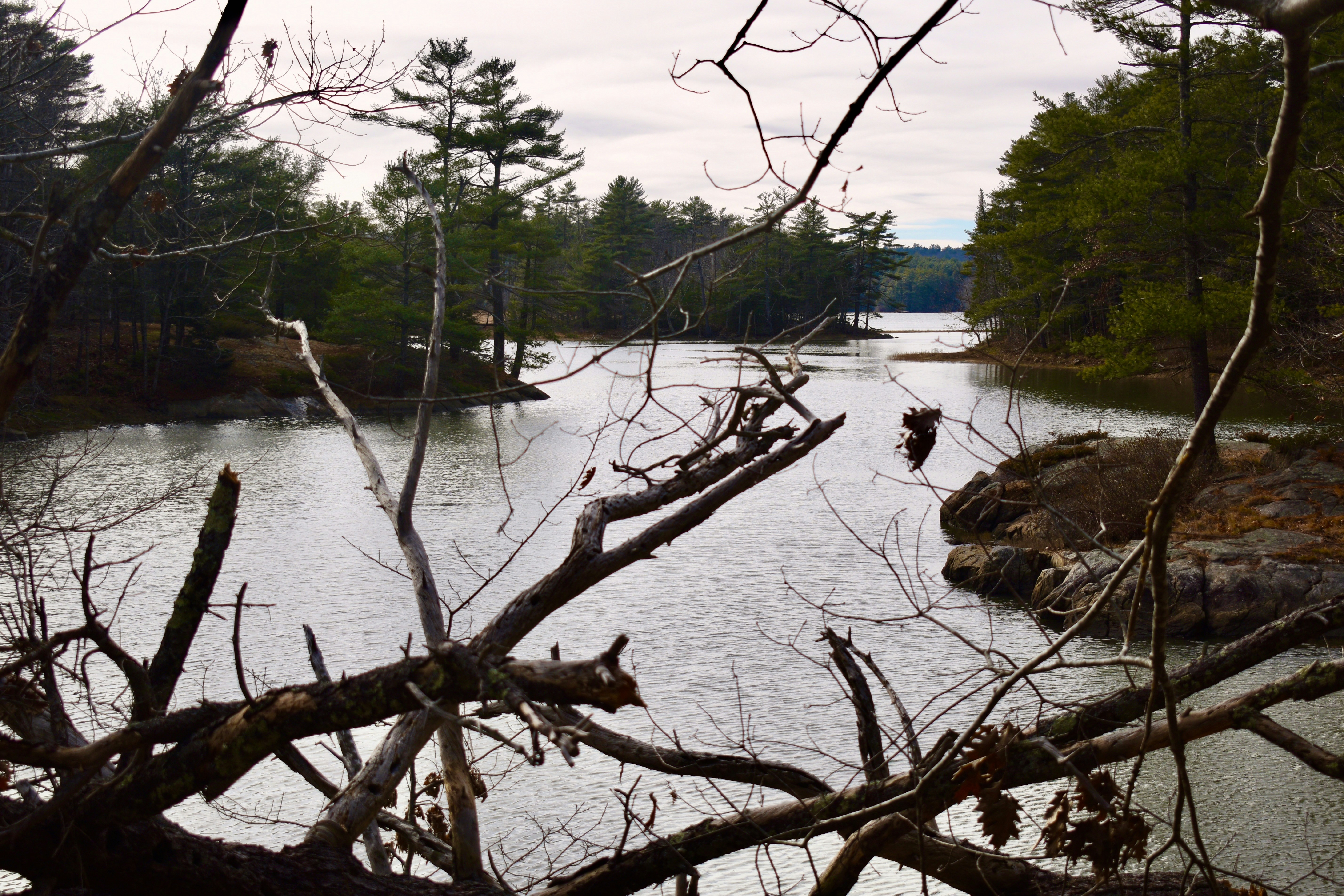 a body of water surrounded by trees and rocks