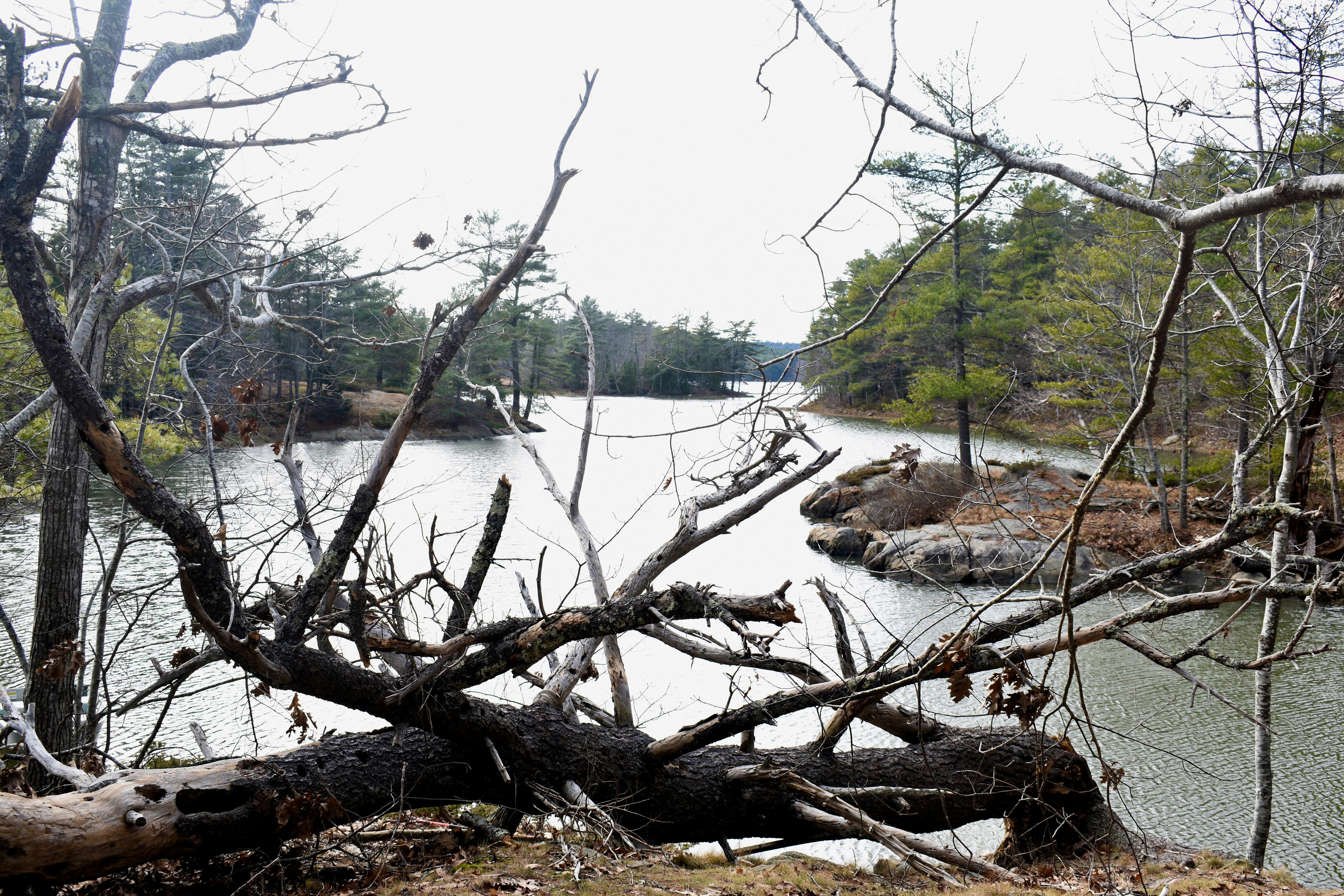 Photo by kellybrookme