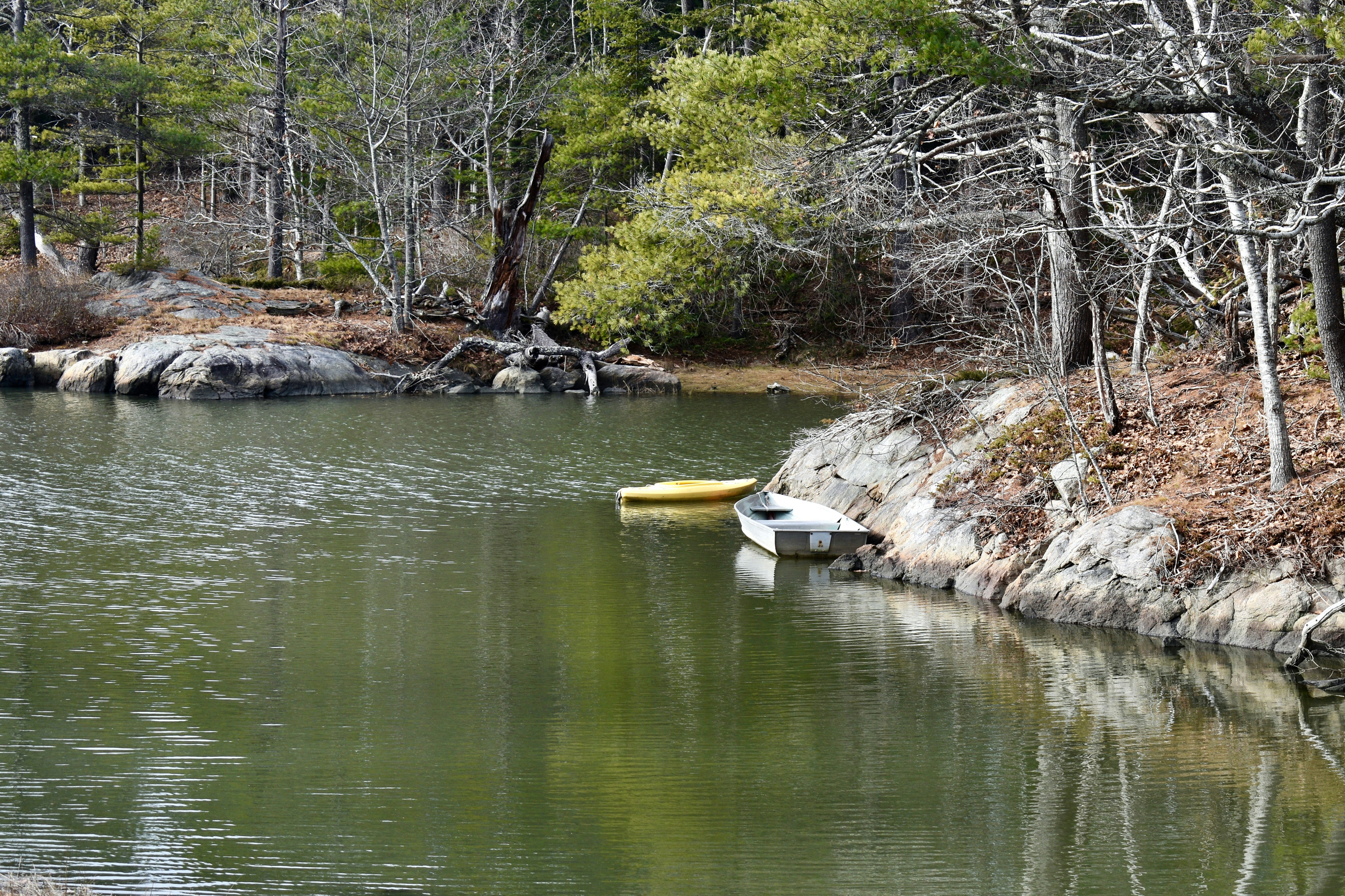 a body of water surrounded by trees and rocks