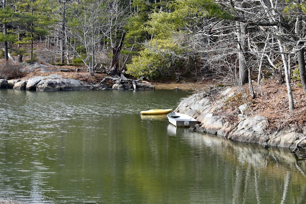 a body of water surrounded by trees and rocks