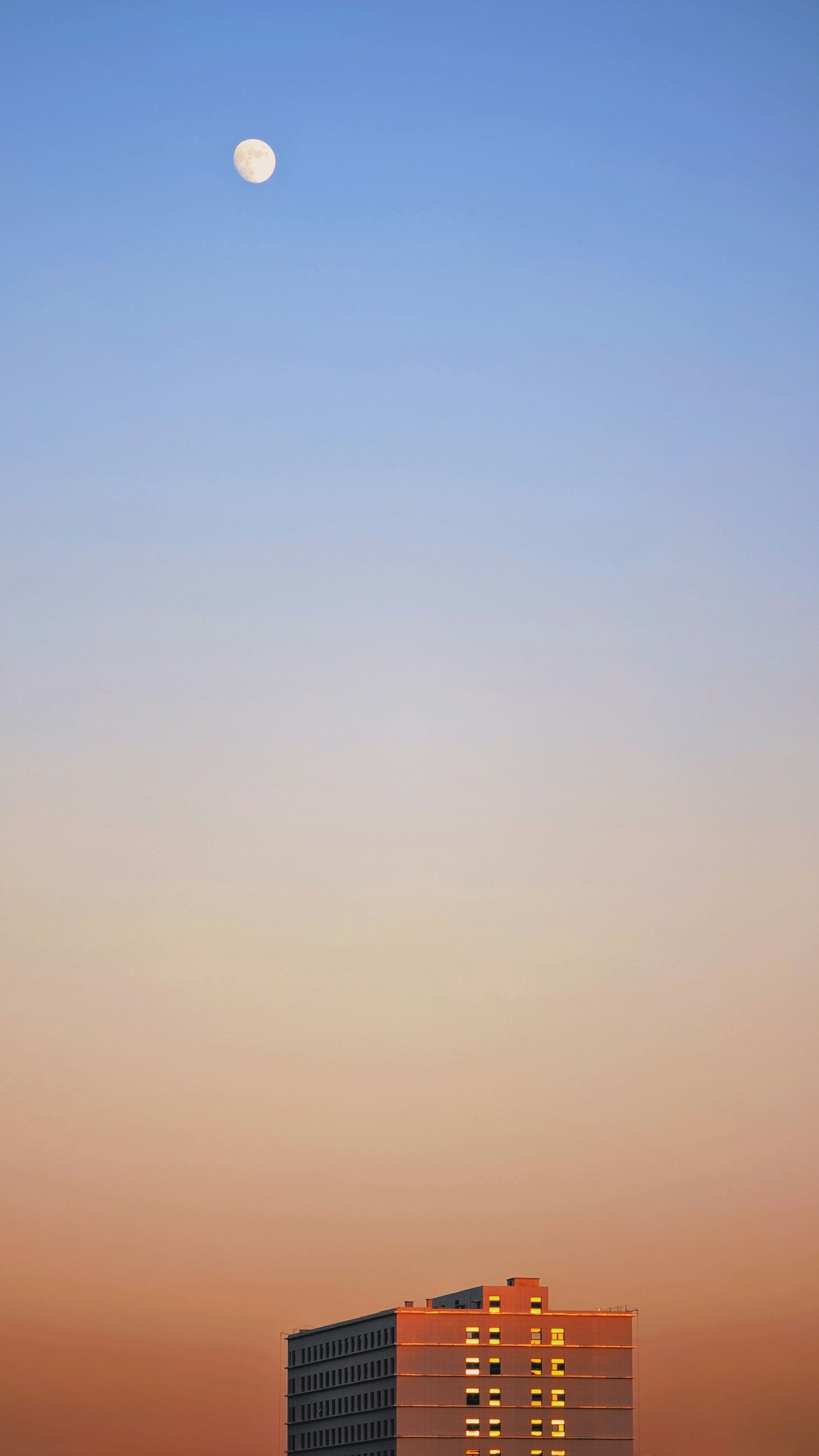 Photo by dusktilldown