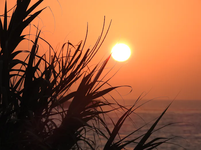 Sunset over the coast near Paphos, Cyprus