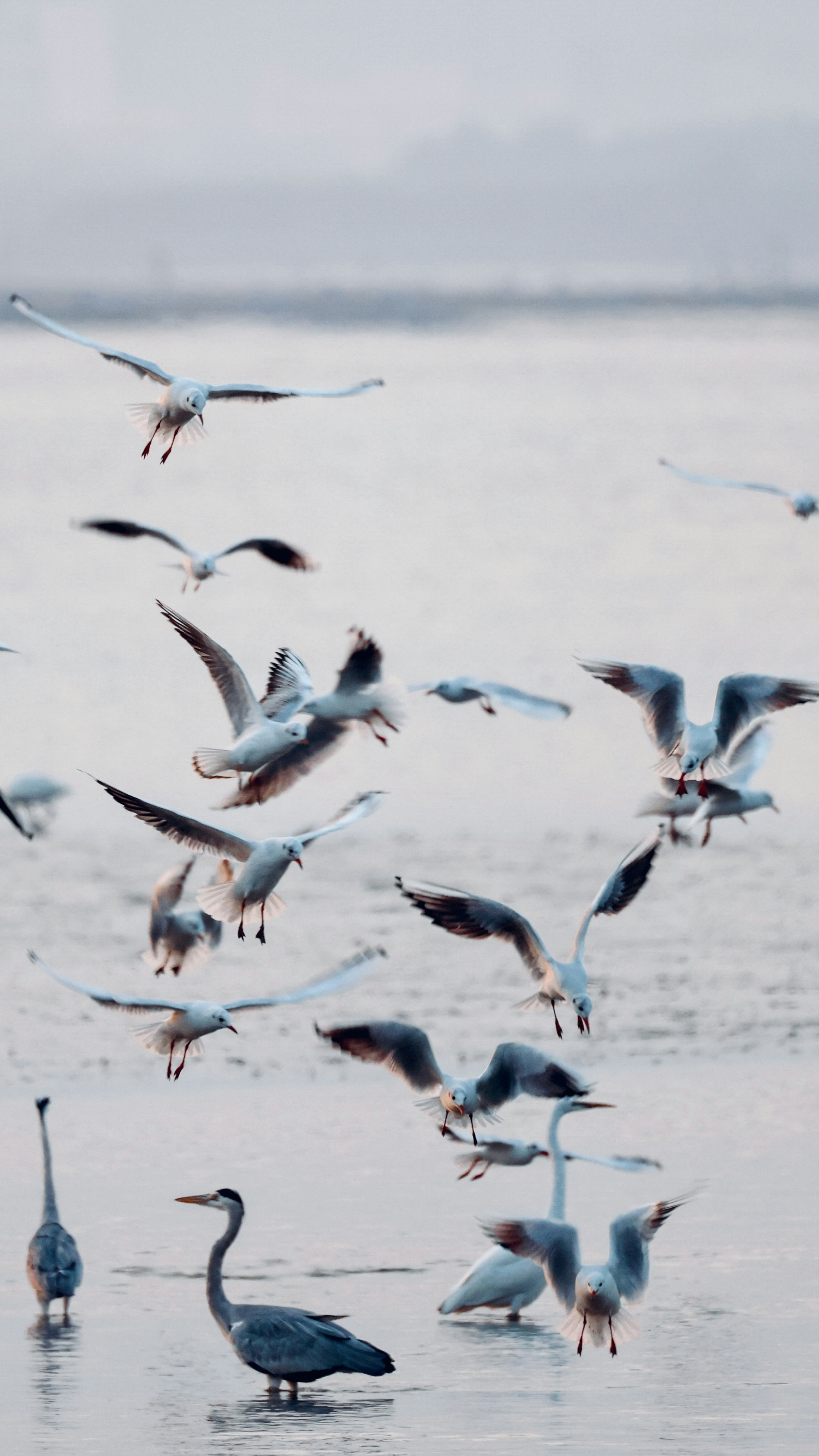 Photo by dickenslin76