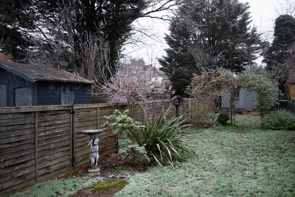 a yard with a fence and a bird bath