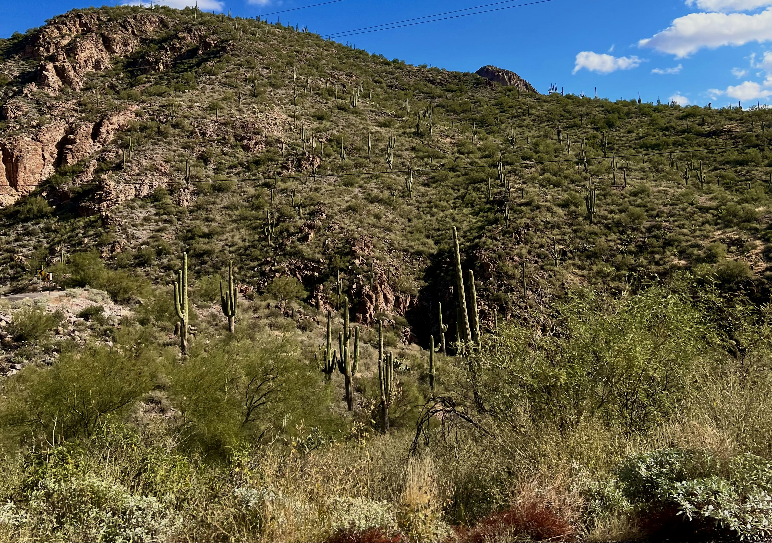 Photo by kyleemarie1