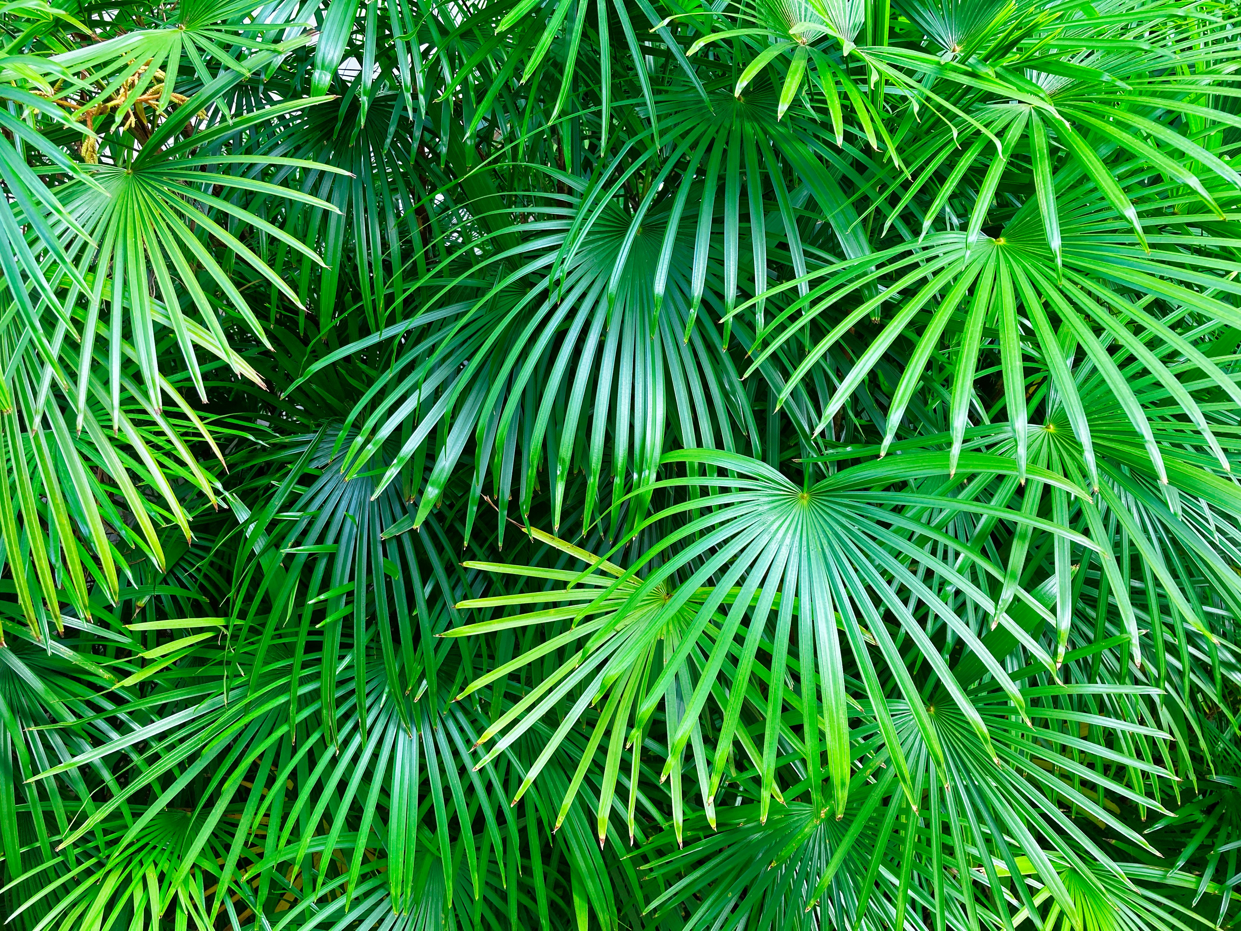 Photo by thomaskinto