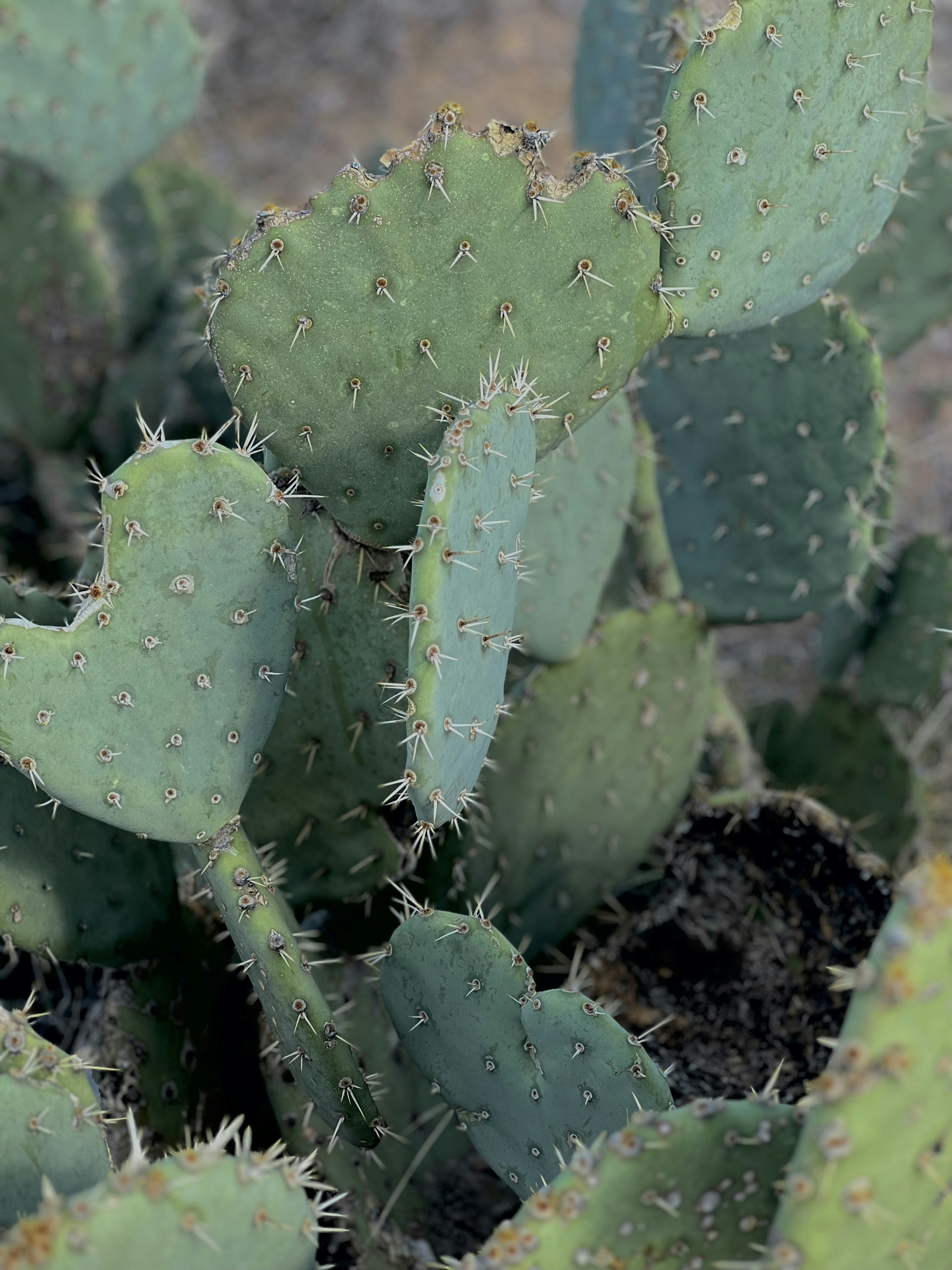 Photo by kyleemarie1