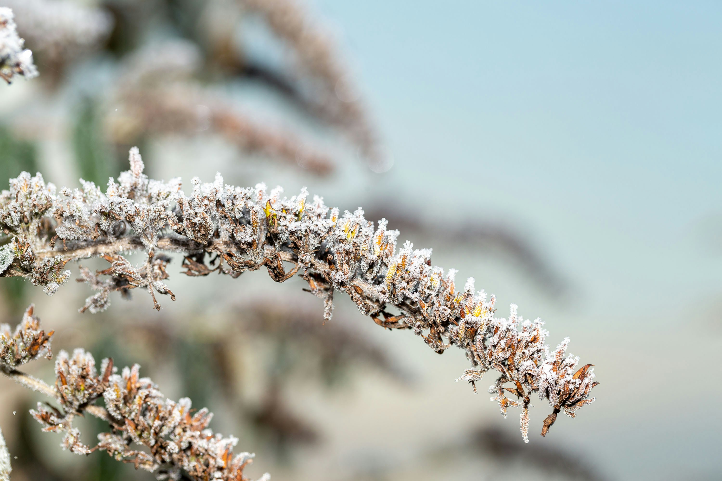 Photo by itscakefortea