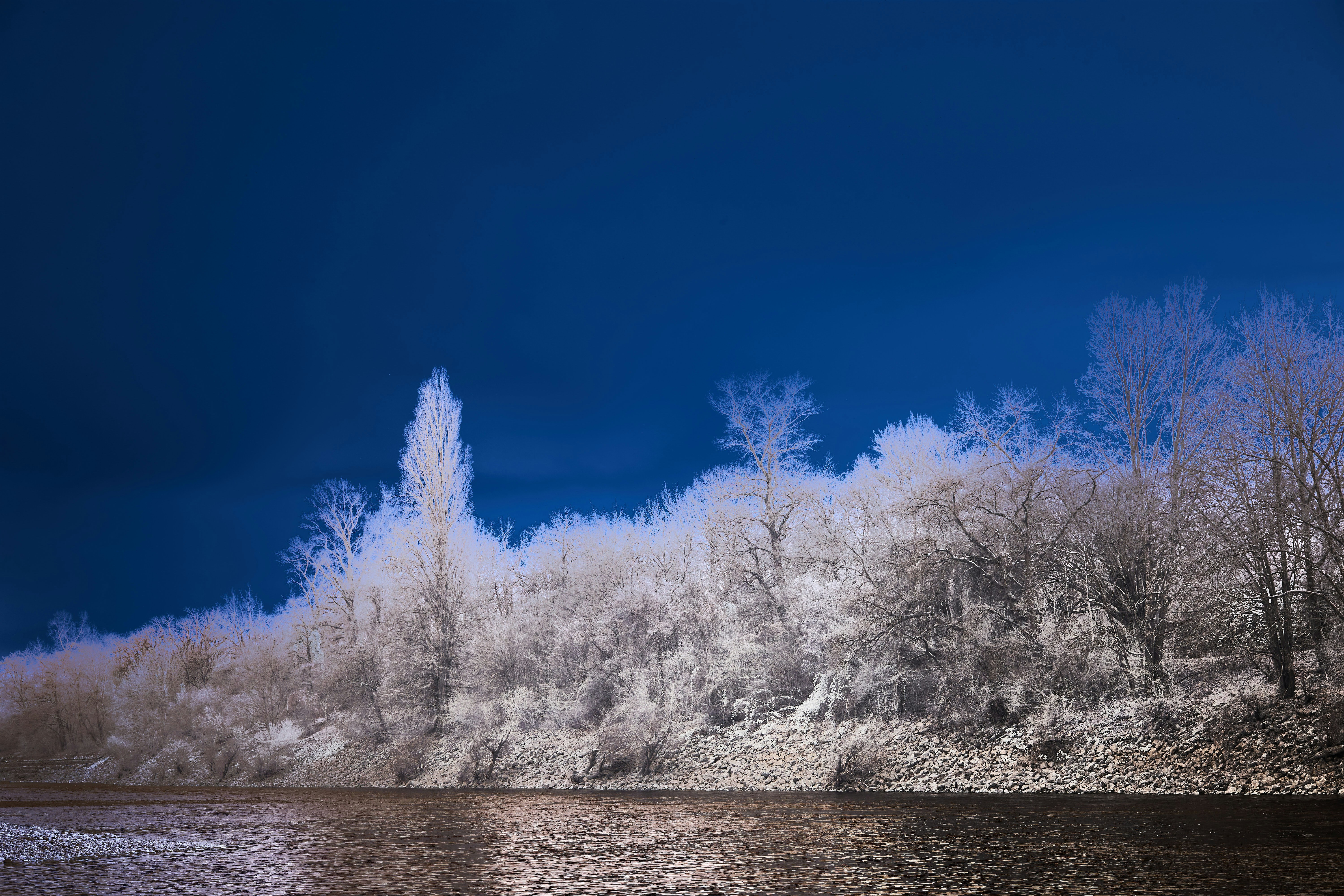 Photo by wolfgang_hasselmann