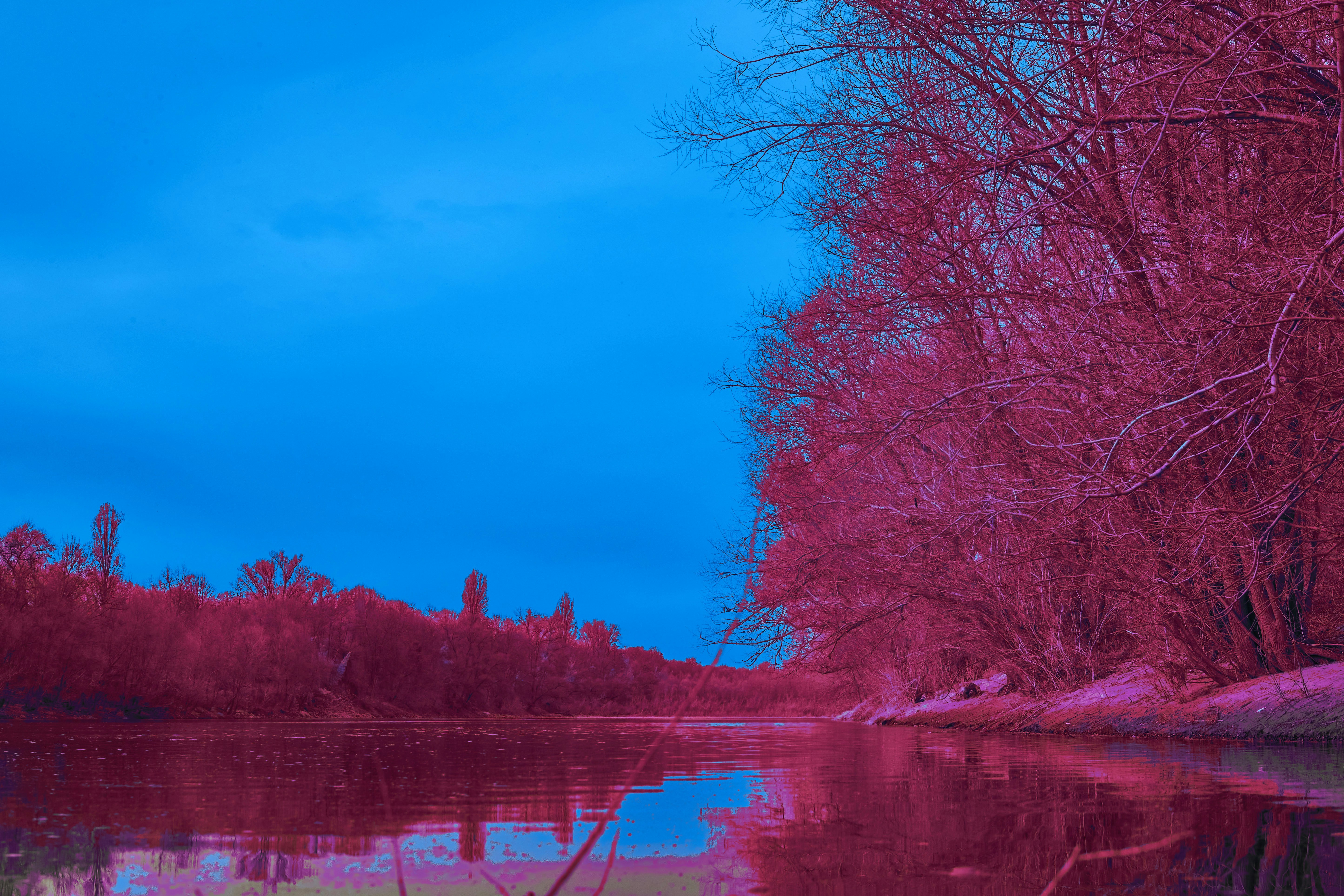 Photo by wolfgang_hasselmann