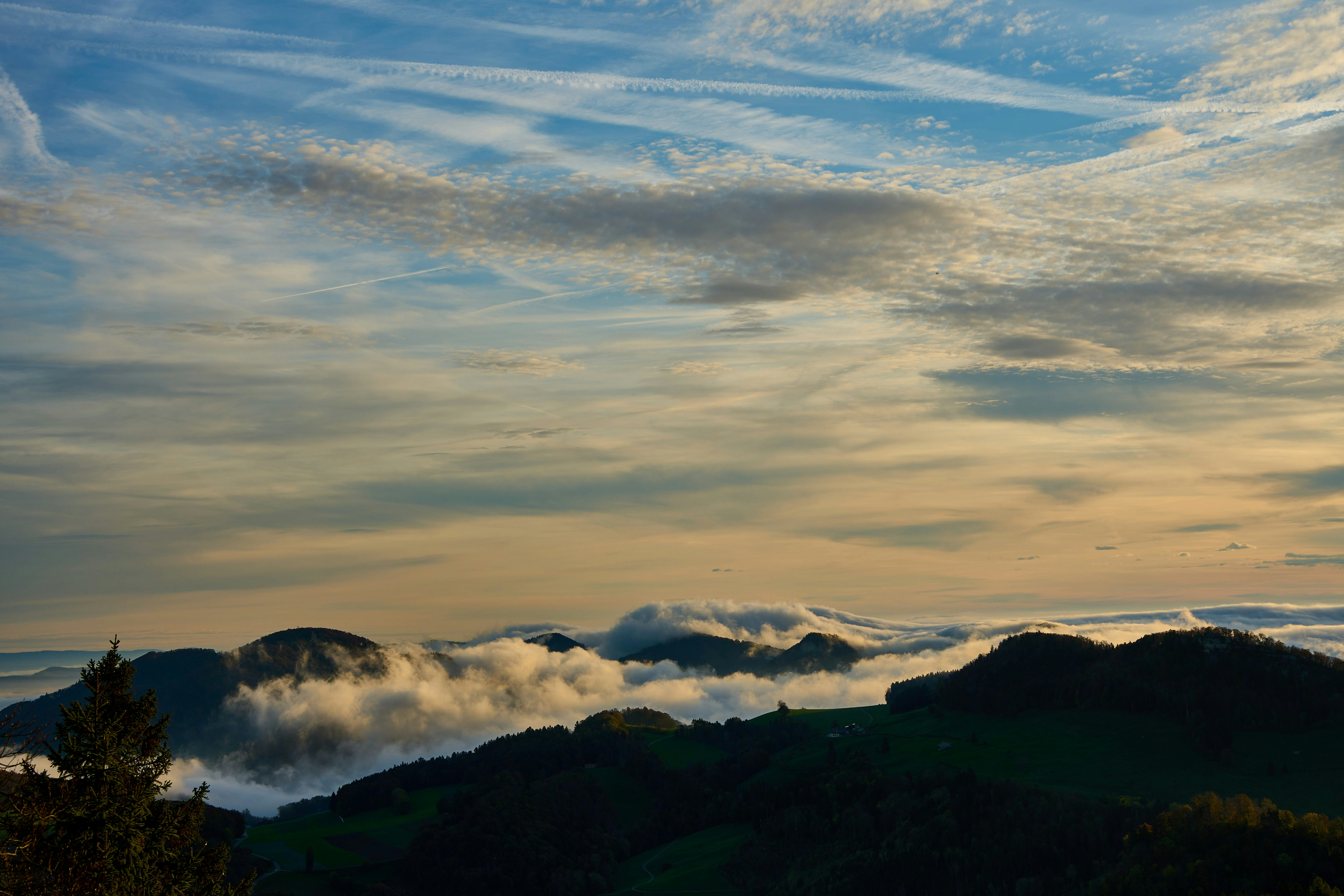 Photo by wolfgang_hasselmann