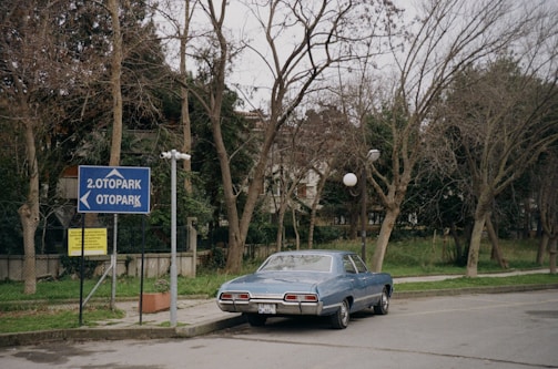 A vintage blue car is parked on a quiet street beside a sign that reads 'Otopark'. The scene is set in a leafy area with bare trees and a fence lining the background. The atmosphere is tranquil, reflecting an overcast day.