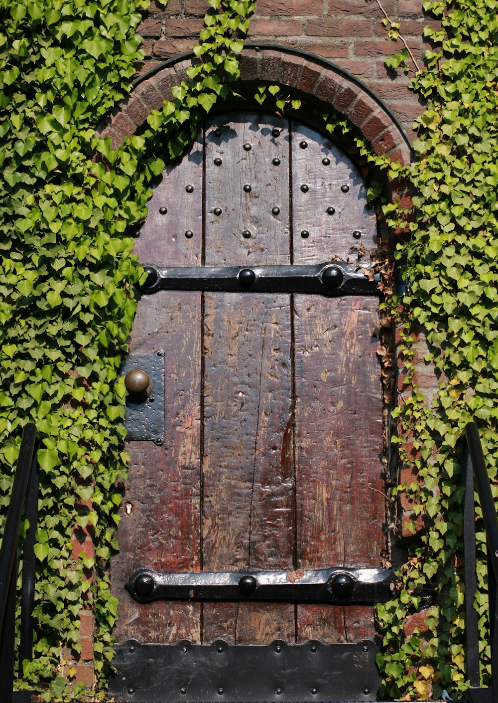 a wooden door surrounded by vines on a brick wall