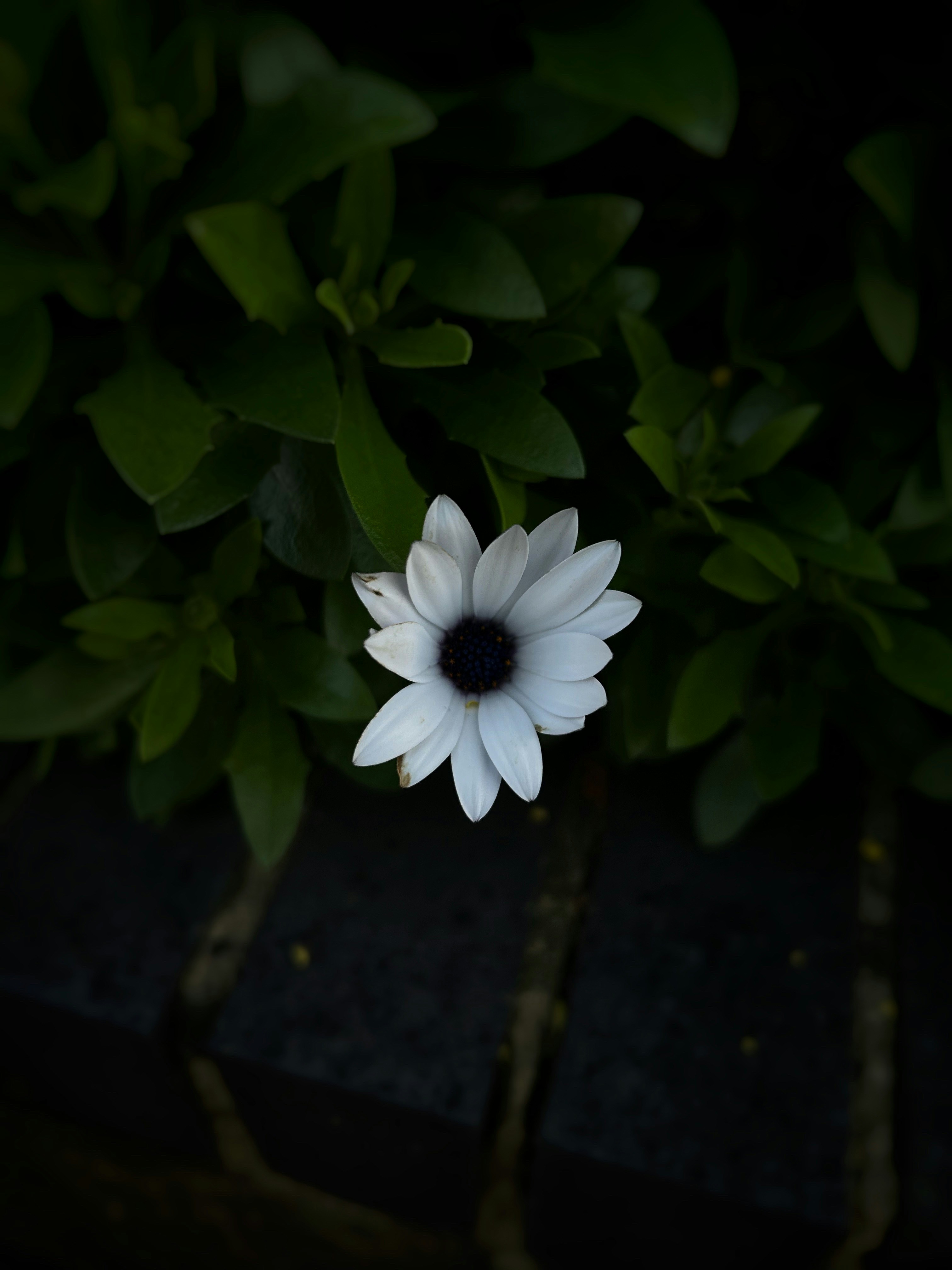 Photo by prrishi92