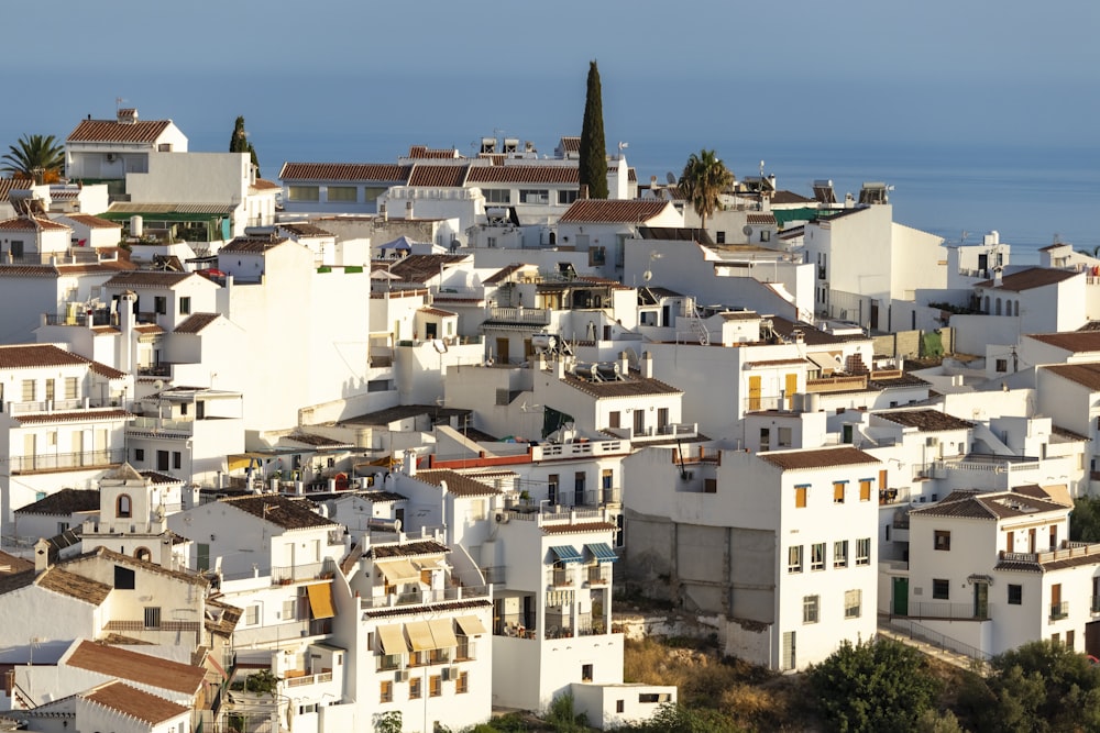 a view of a city with lots of white buildings