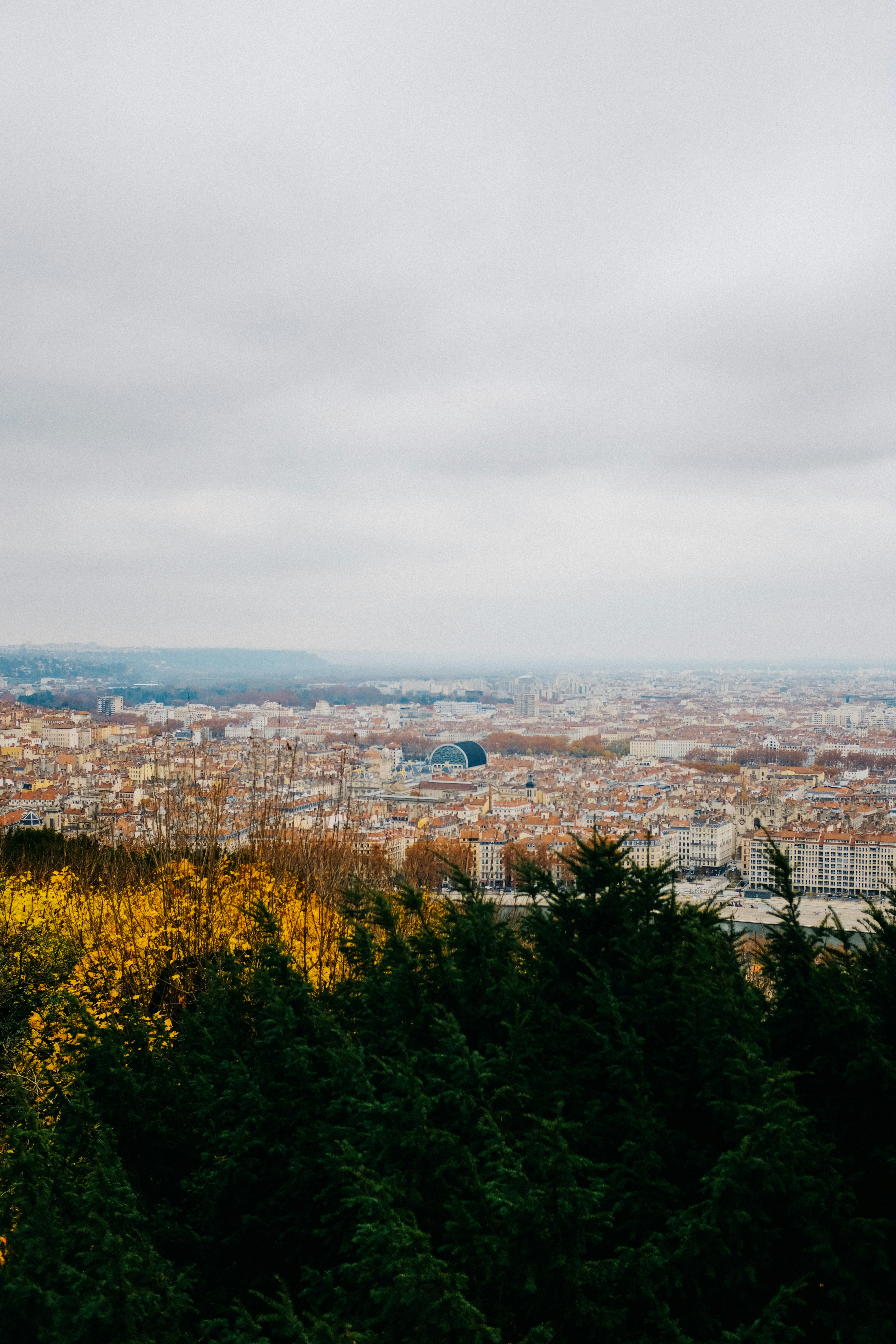 Photo by adrienolichon