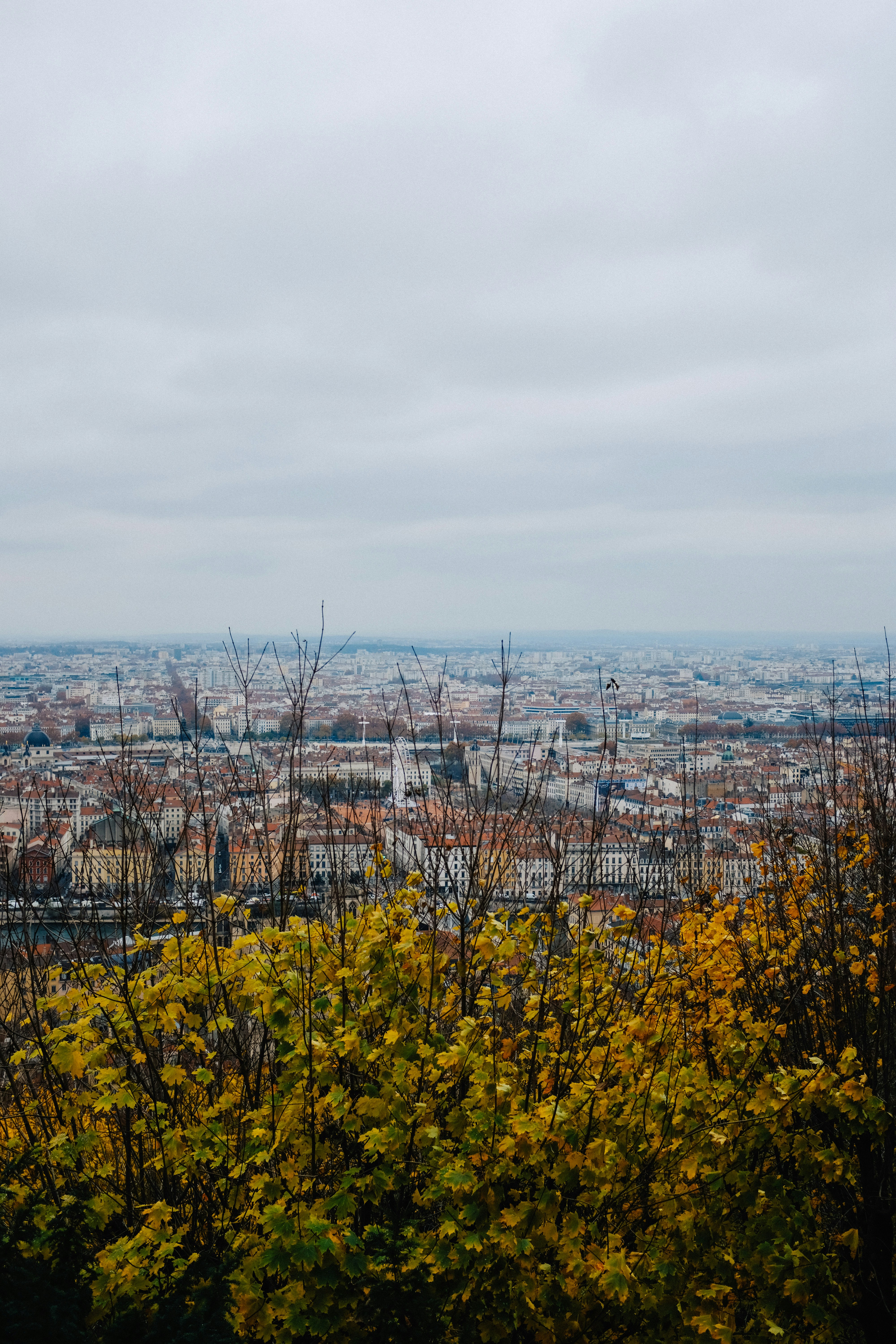 Photo by adrienolichon