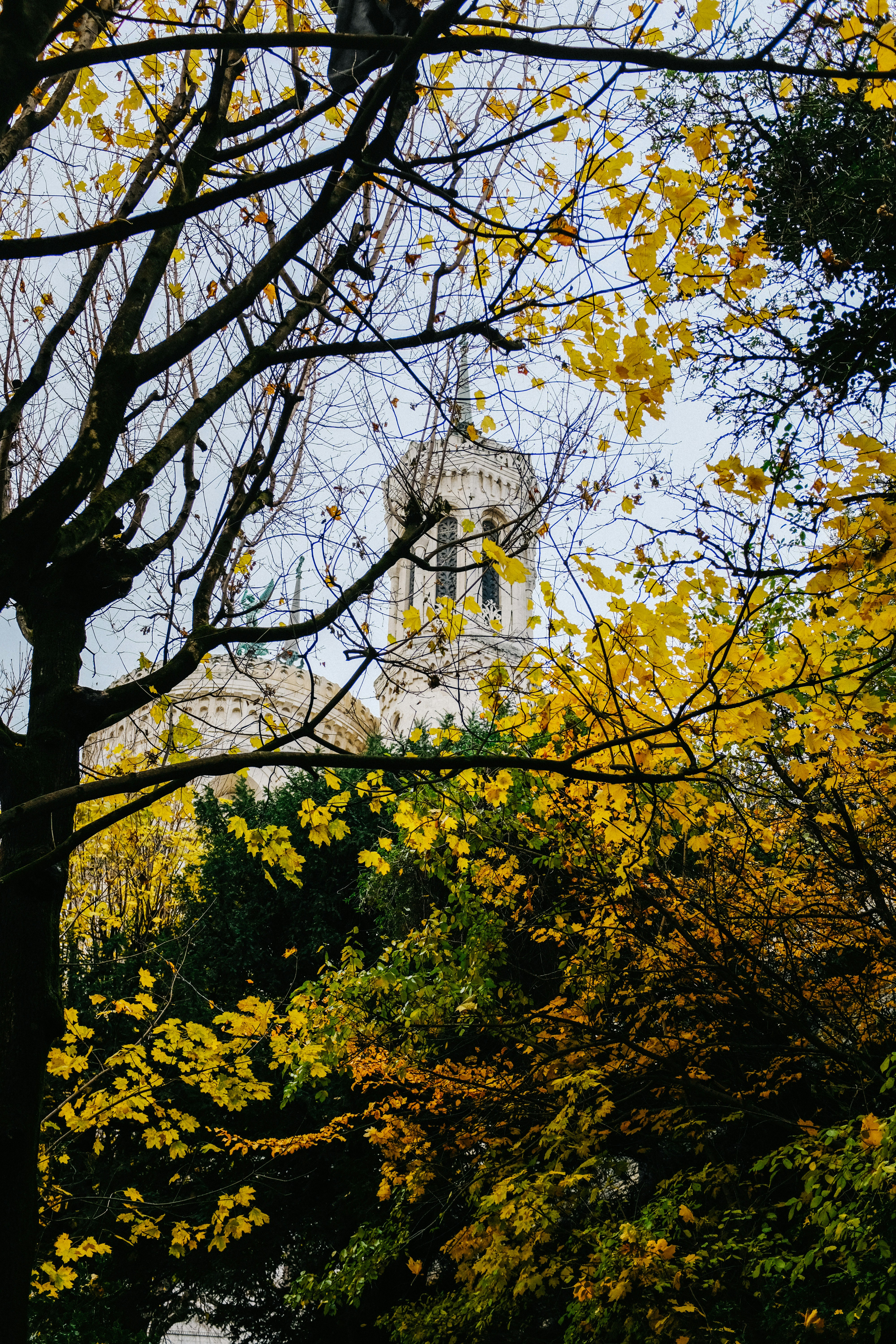 Photo by adrienolichon